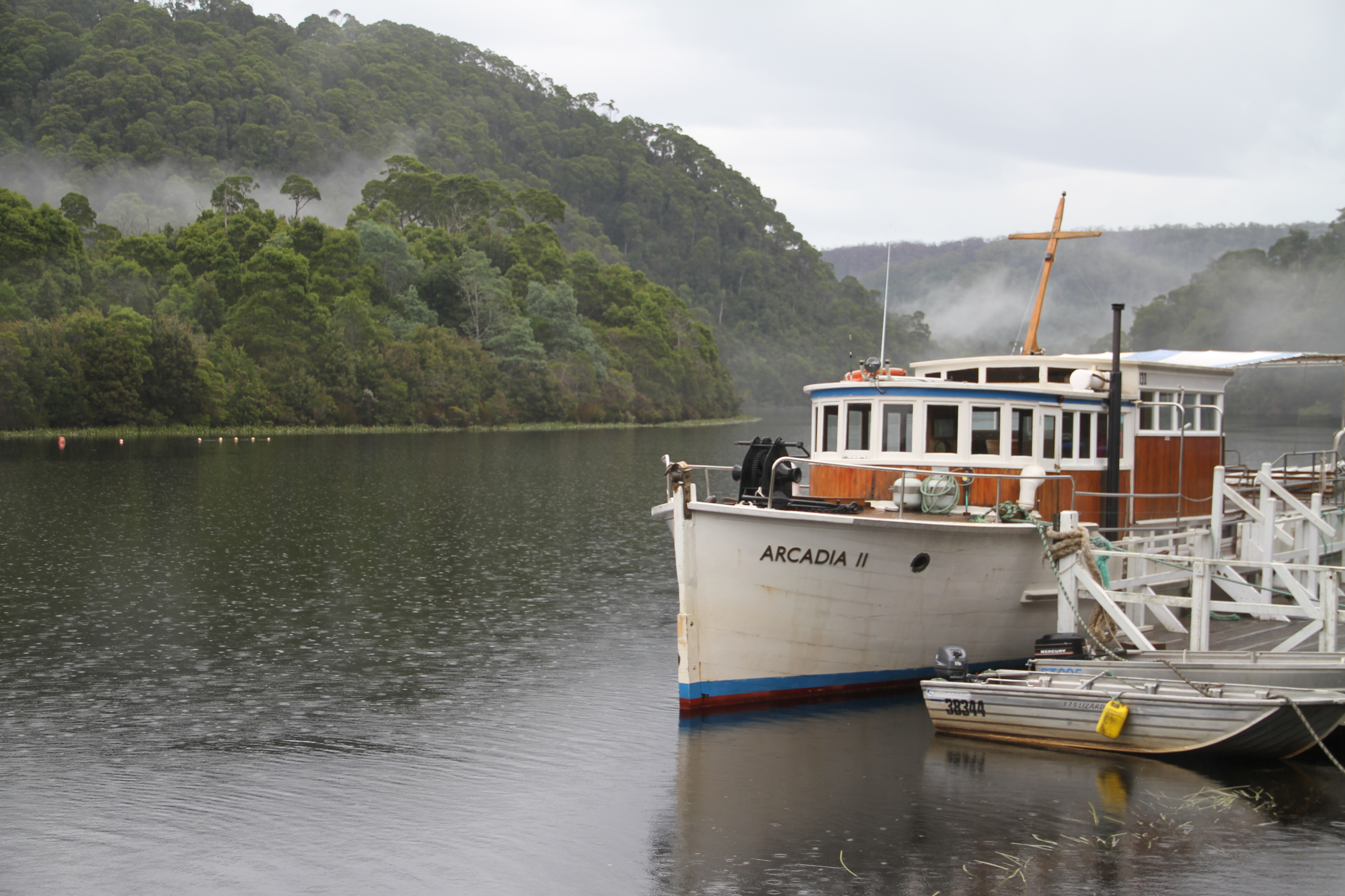 The green miles of north-west Tasmania's Tarkine wilderness