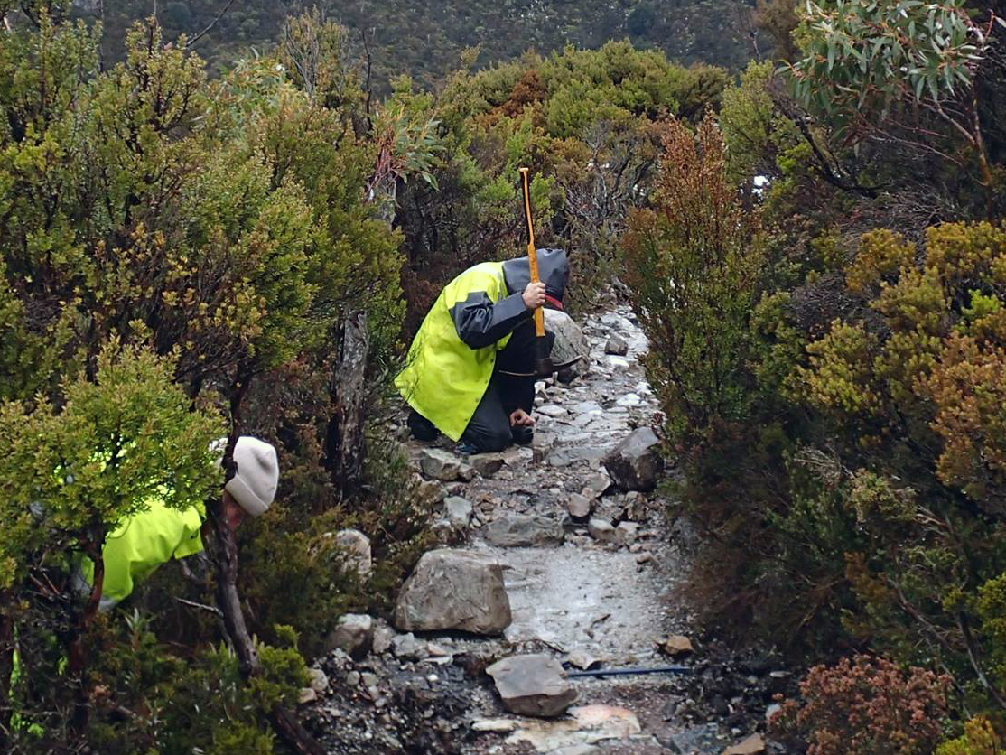 Tasmanian forest track-builders