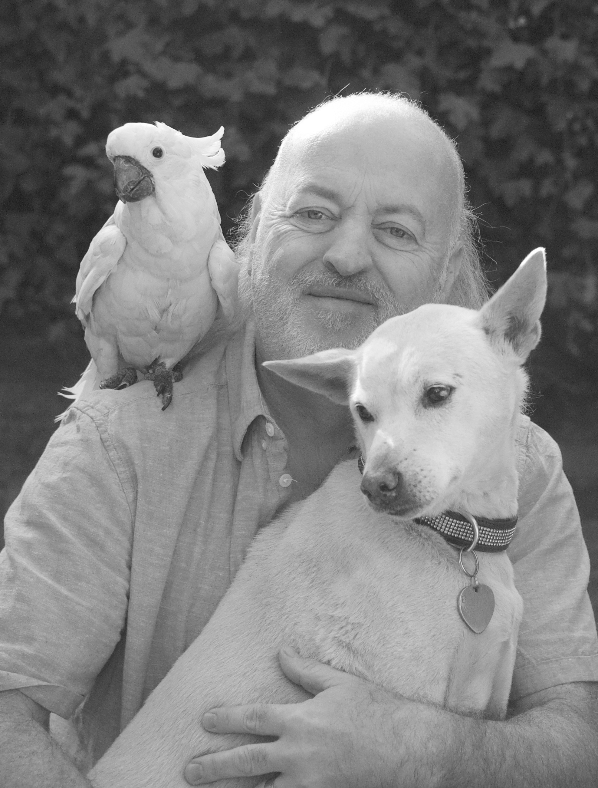 Performer Bill Bailey