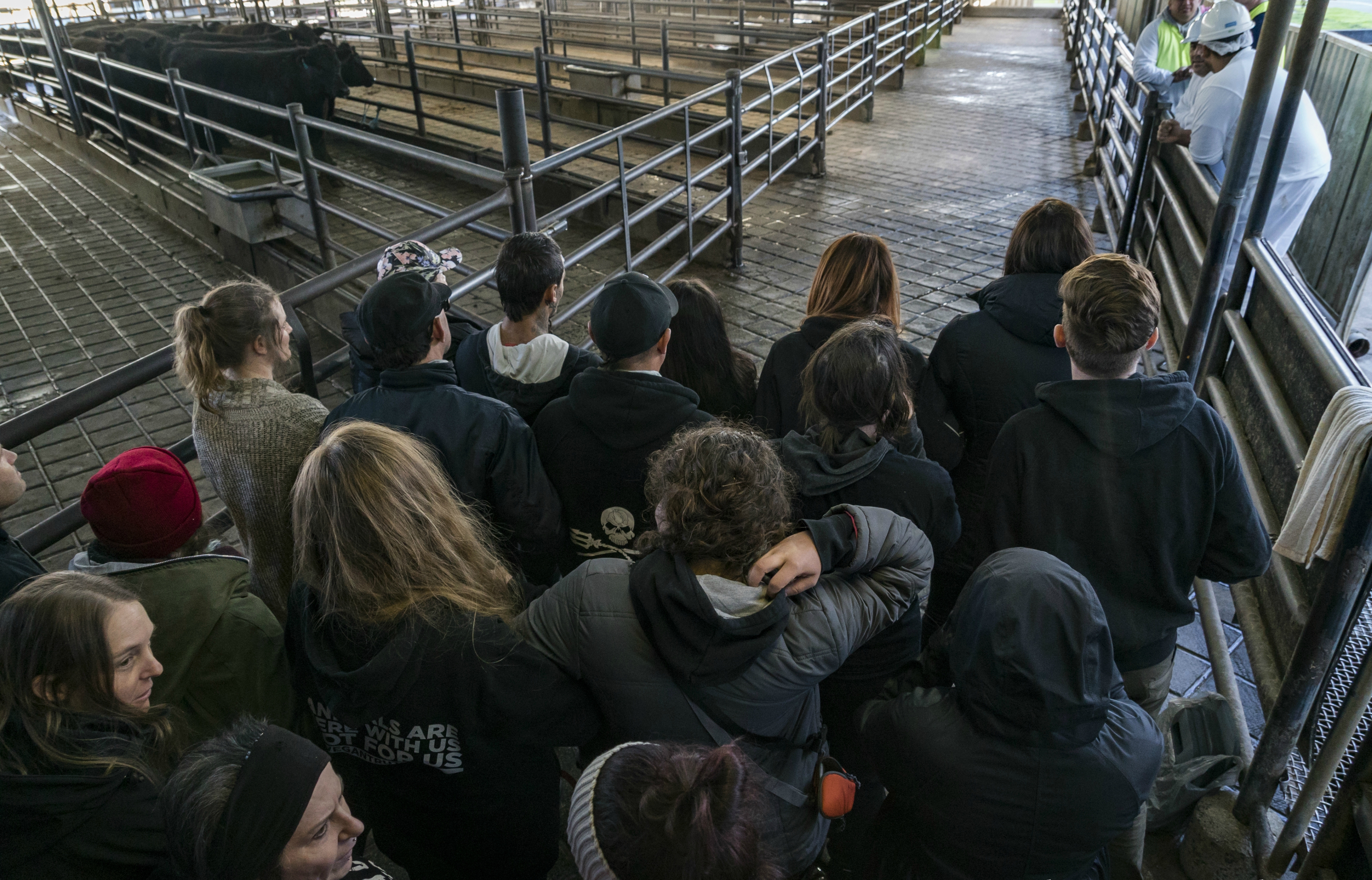Farm activists face tougher laws
