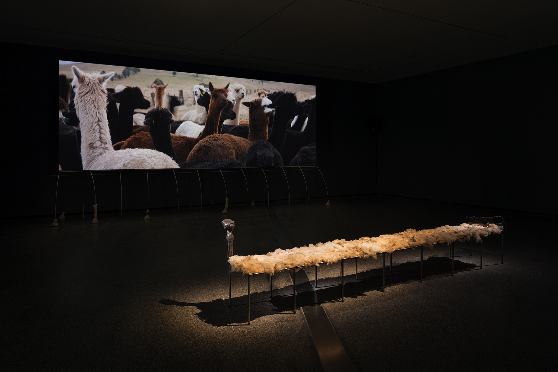 Tina Stefanou’s <em>You Can’t See Speed</em>