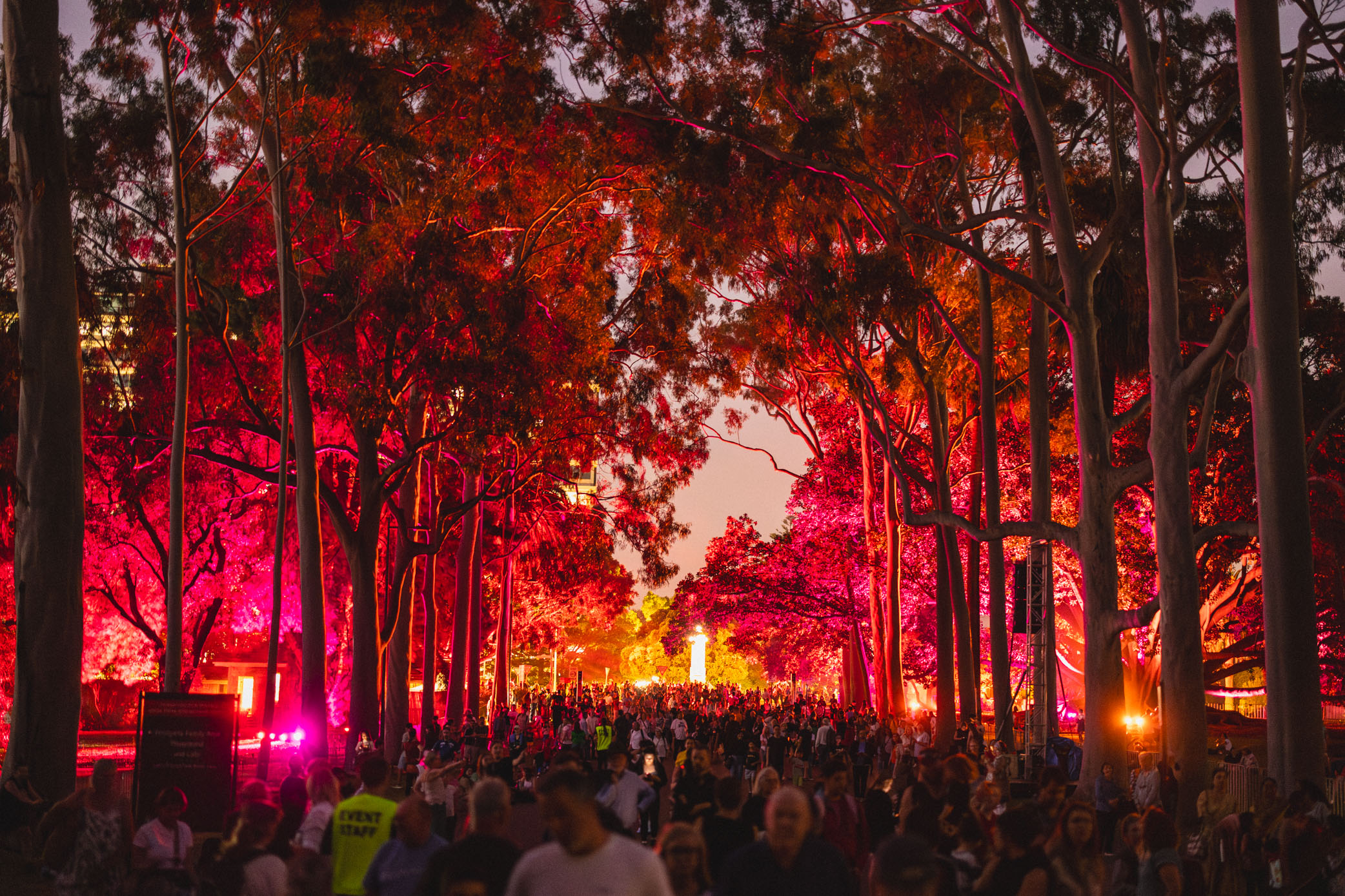 Festivalgoers walk along a wide track with lights illuminating the trees pink around them.