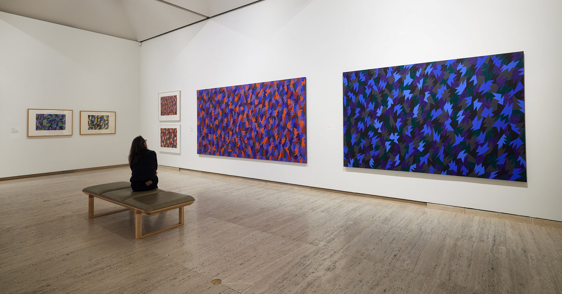An installation view of Lesley Dumbrell: Thrum, at the Art Gallery of New South Wales.