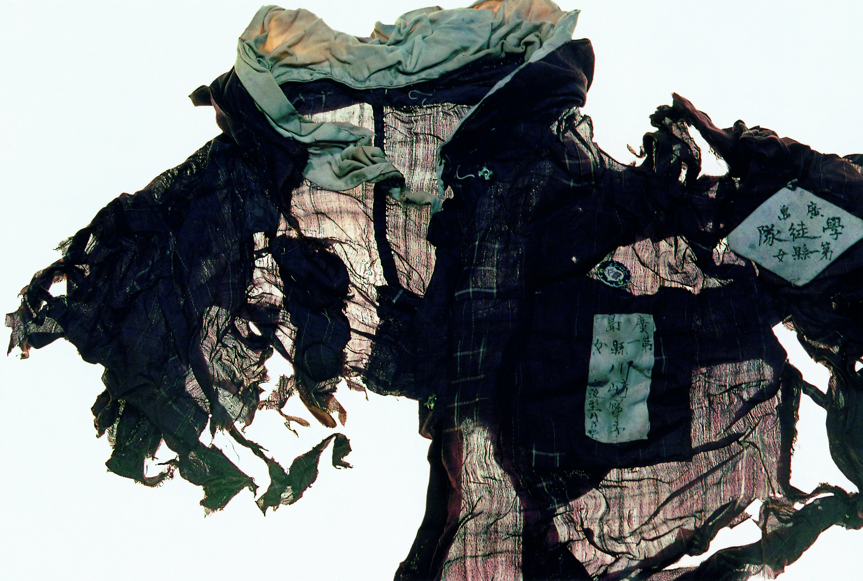  Reversible Destiny: Australian and Japanese Contemporary Photography