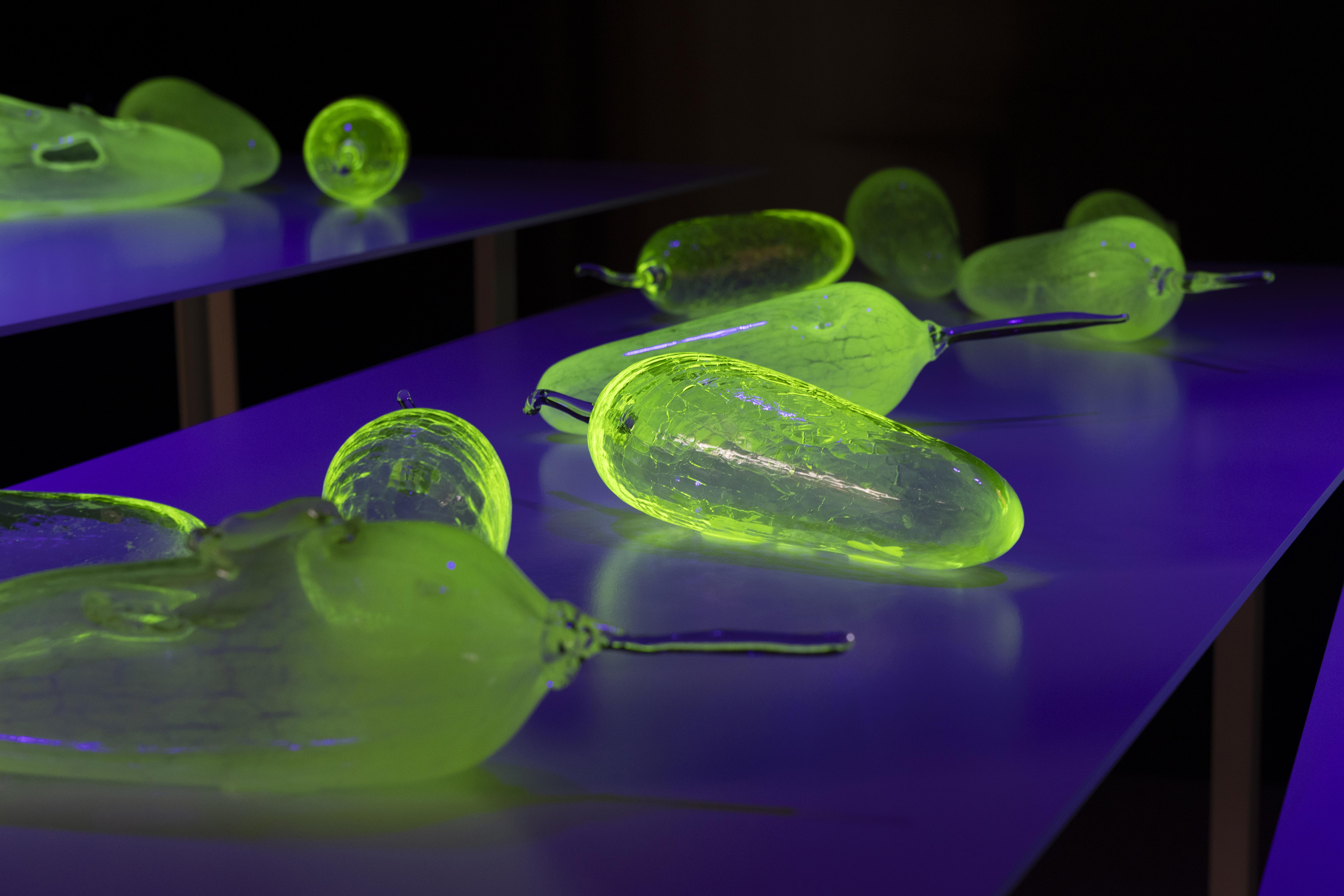 an arrangement of 42 glass bush bananas sitting on display tables lit by UV lights.