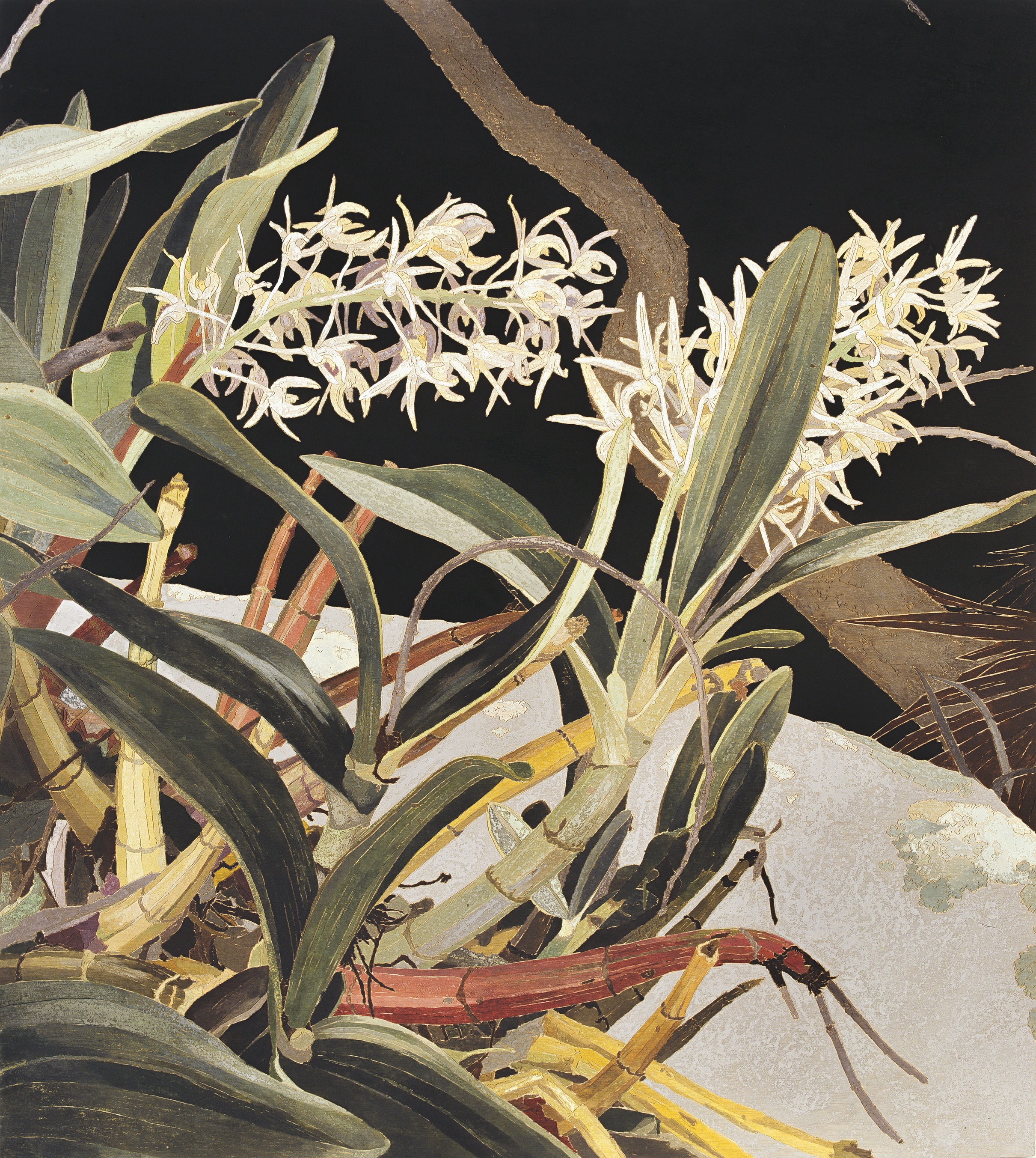 Geelong Gallery’s <em>Cutting Through Time</em>