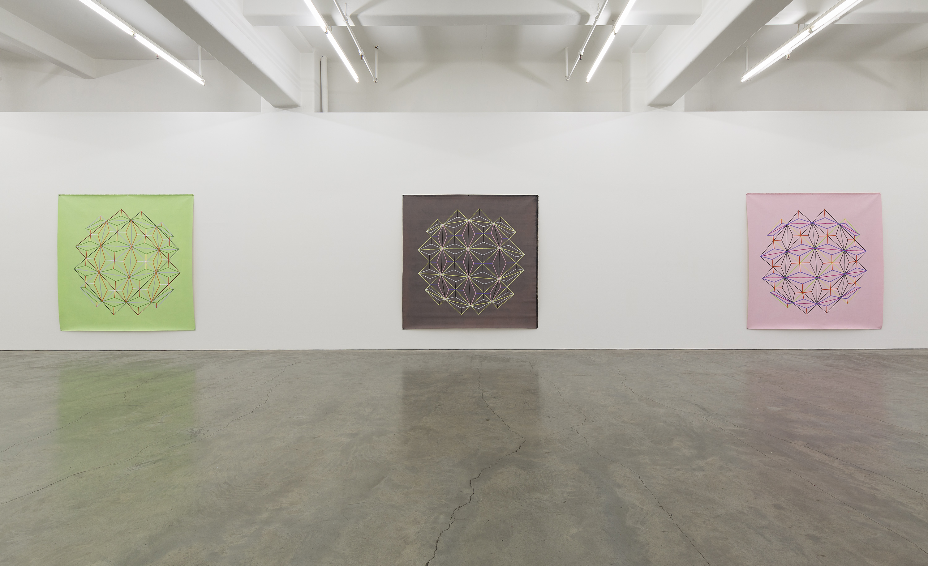 An installation view of Kerrie Poliness’s Non-Objective Wildflowers. 
