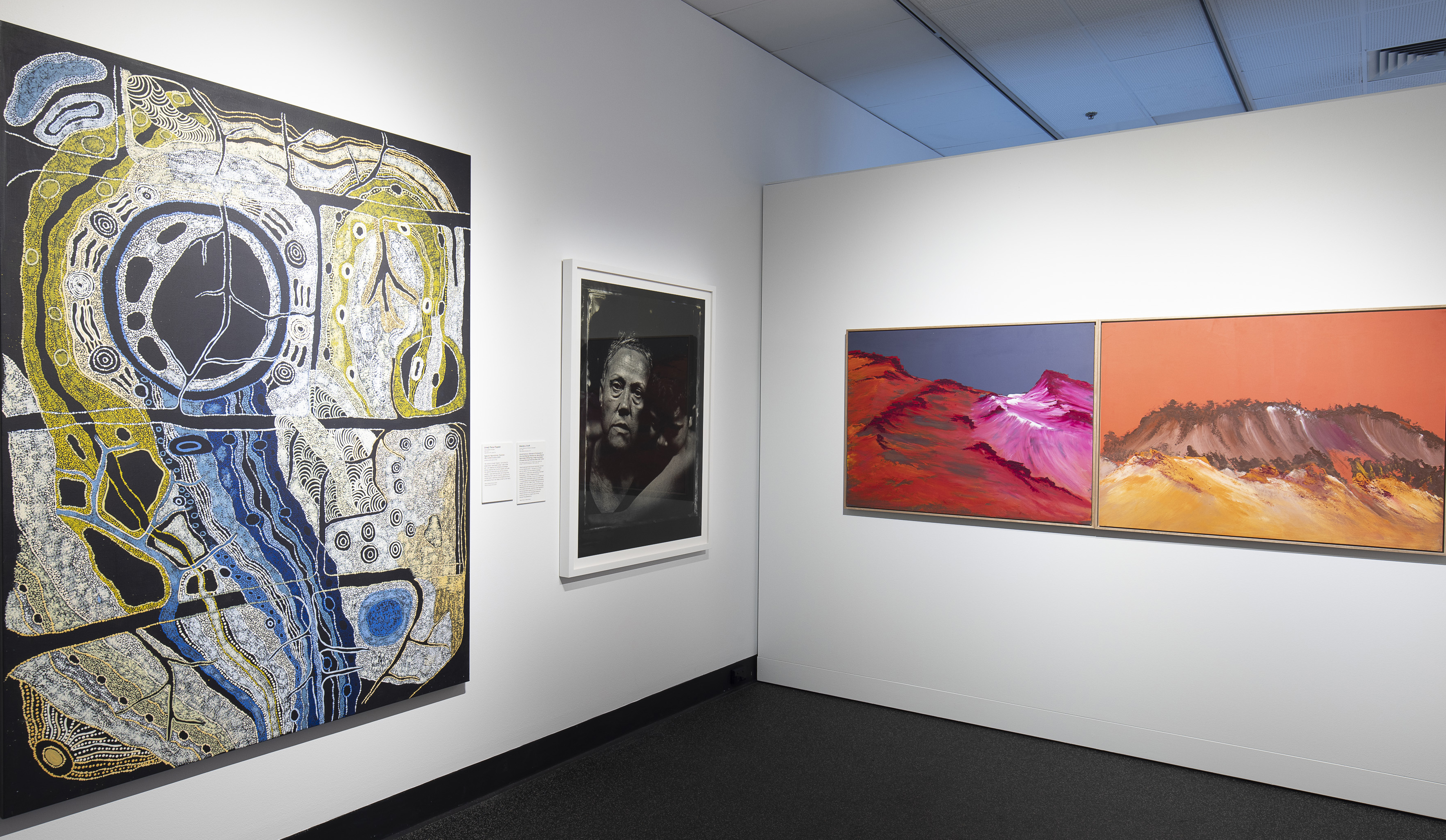 Part of the NATSIAA exhibition at the Museum and Art Gallery of the Northern Territory. 