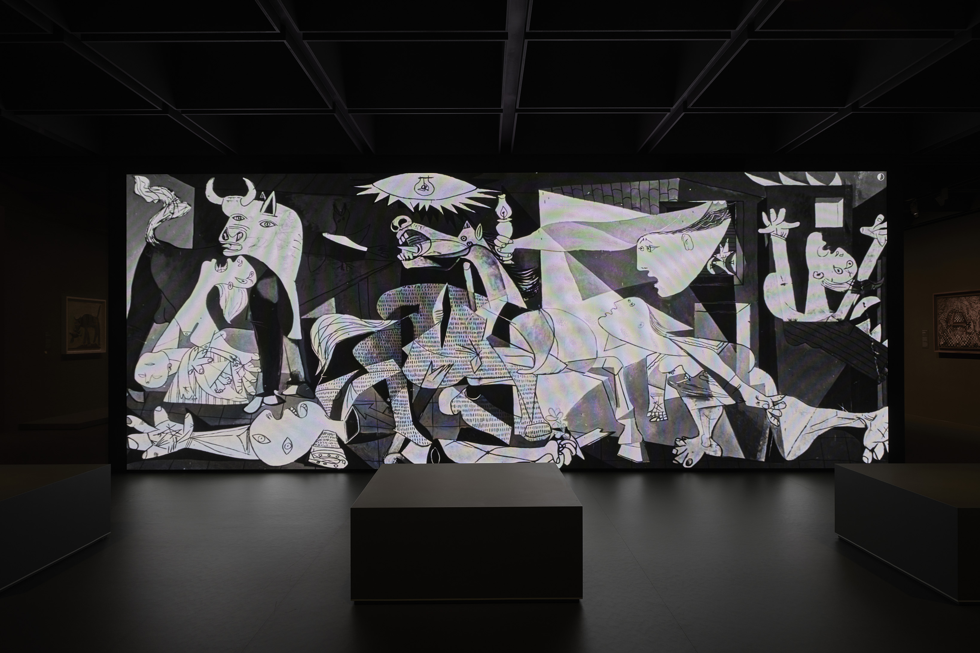 <em>The Picasso Century</em>