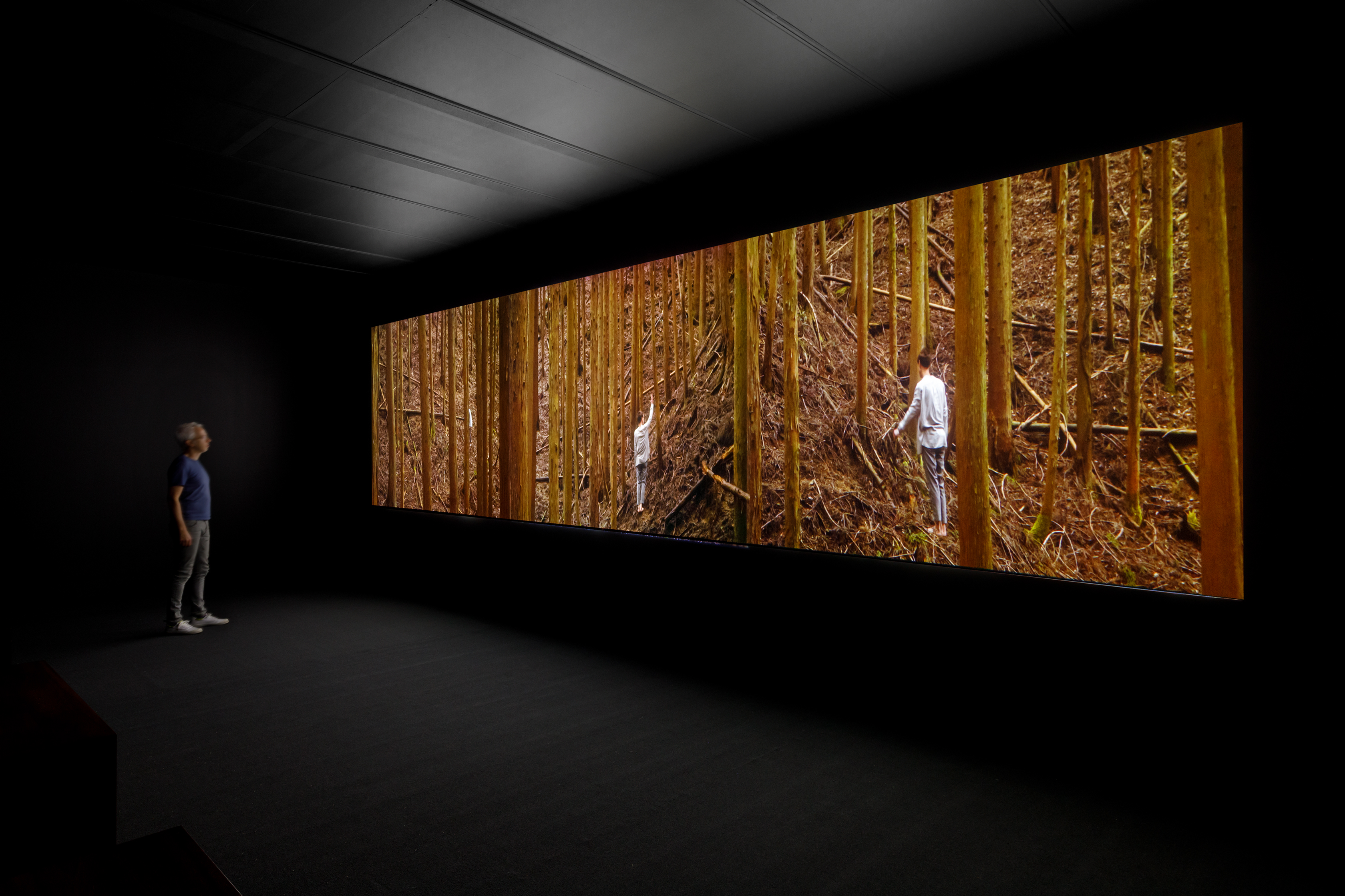 TarraWarra Biennial Slow Moving Waters 