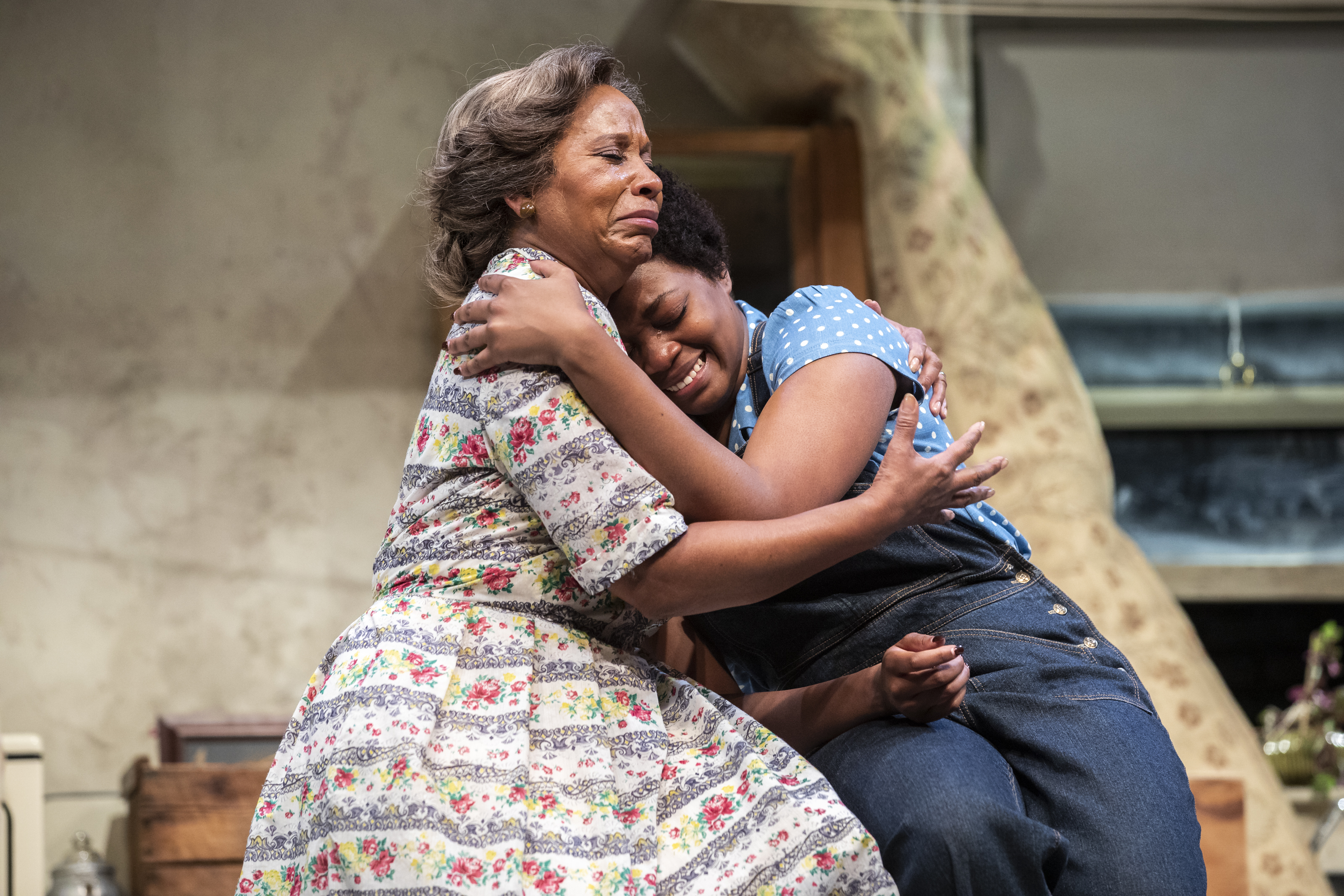 <em>A Raisin in the Sun</em>