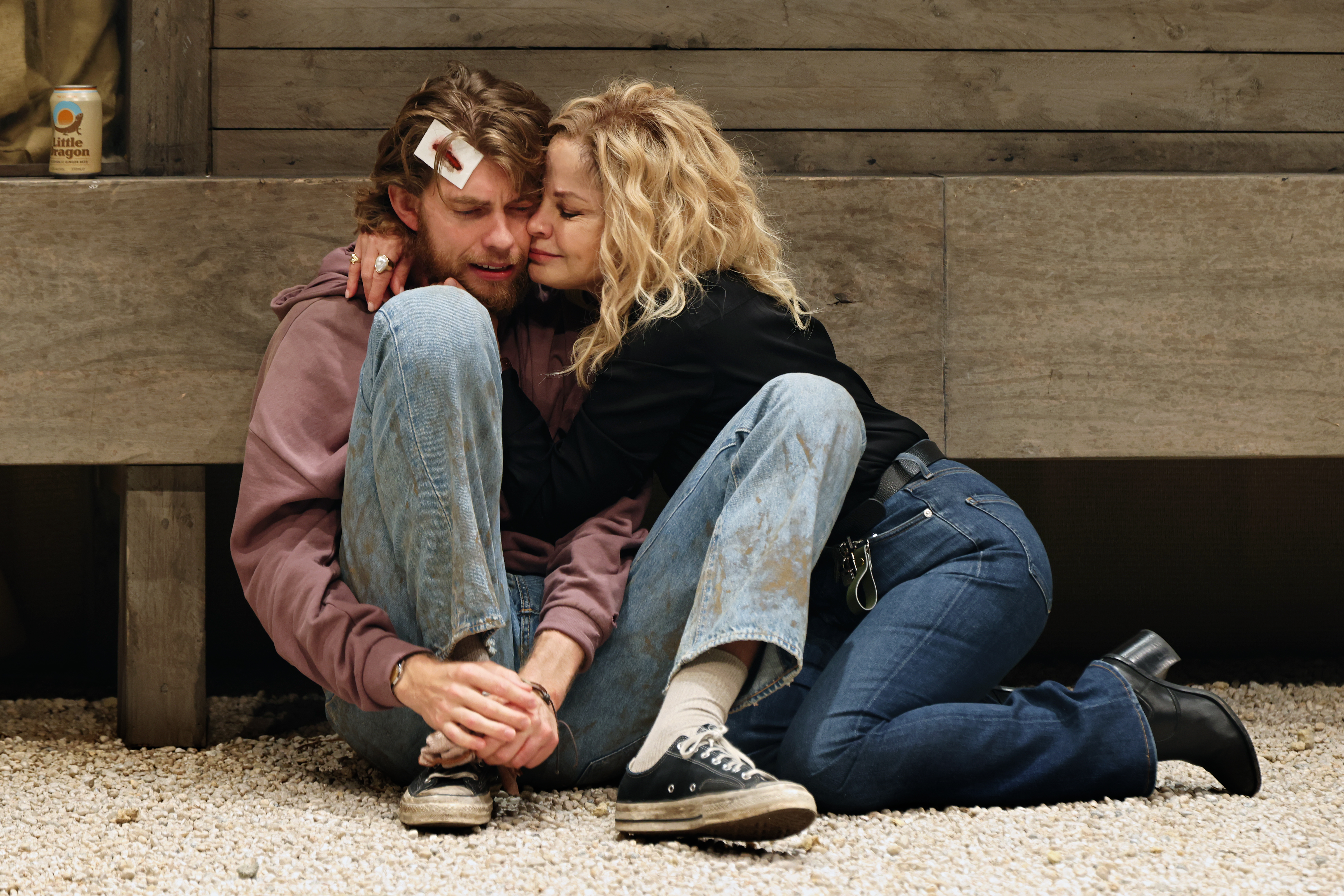 Andrew Upton’s adaptation of <em>The Seagull</em>