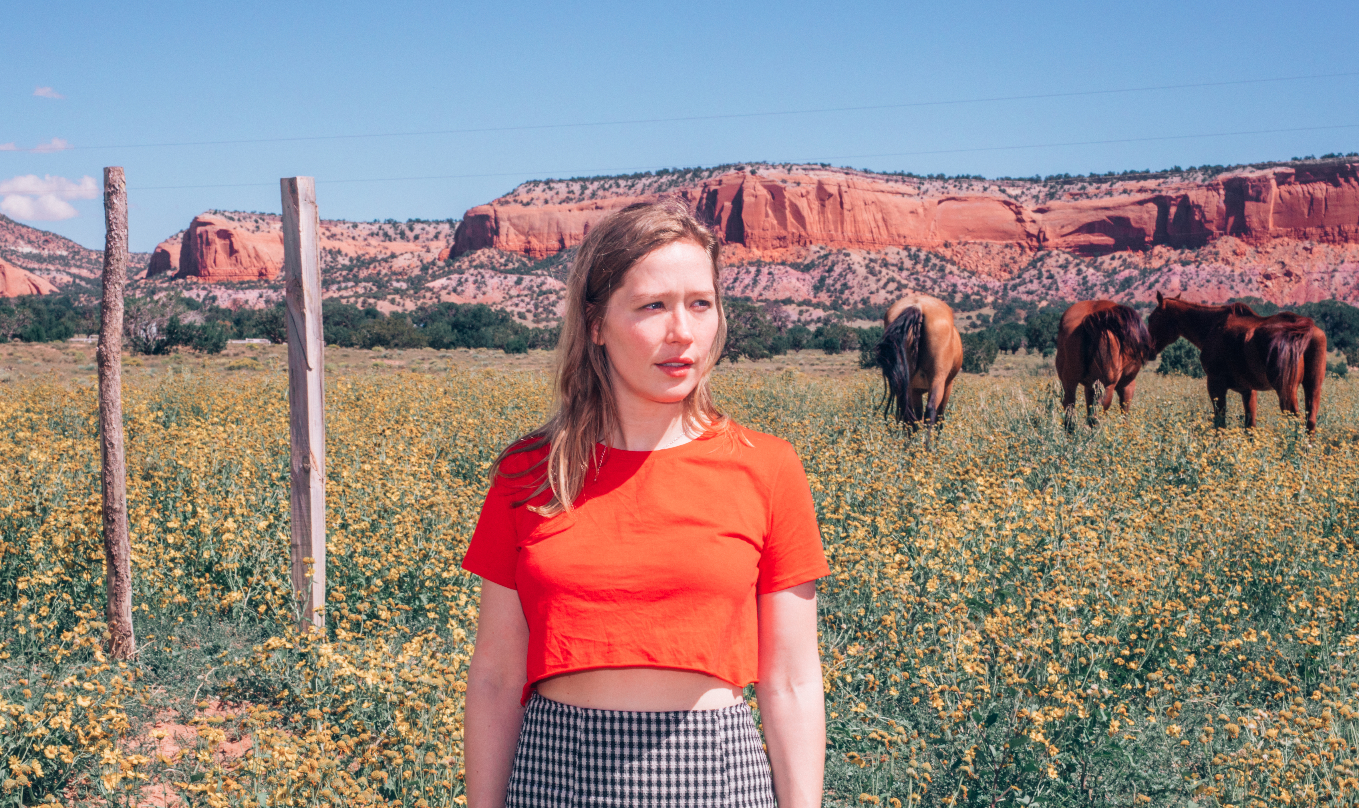 Julia Jacklin’s Crushing 