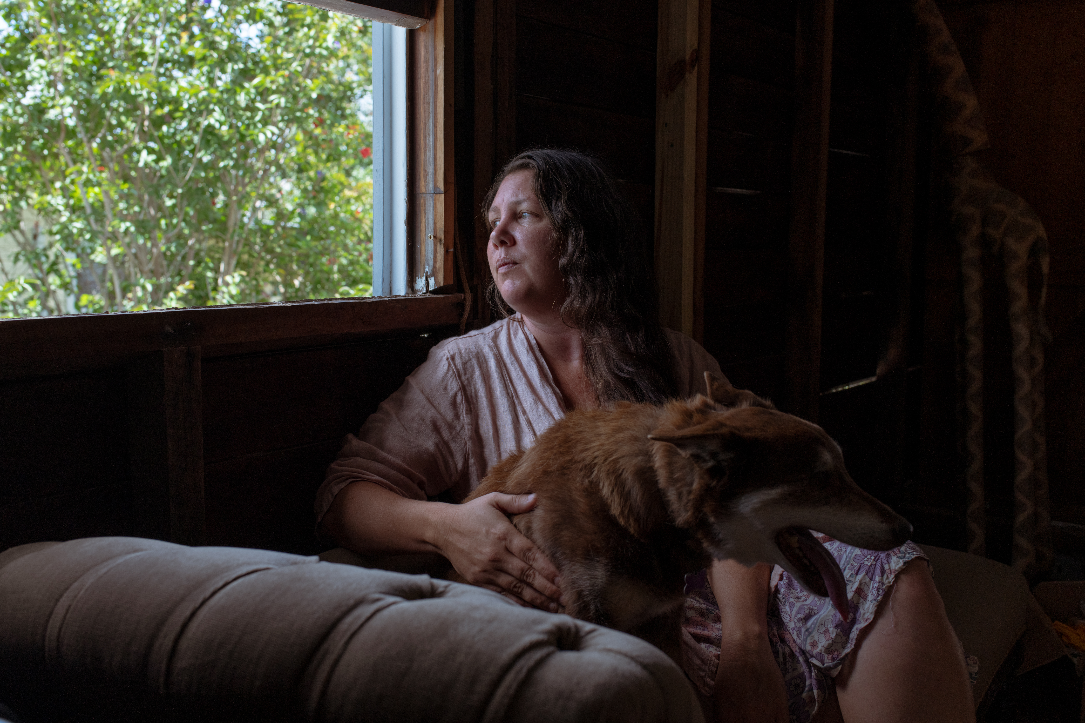 A woman sits by an open window with a dog by her side. It's sunny outside, and from the window is a view of green trees.