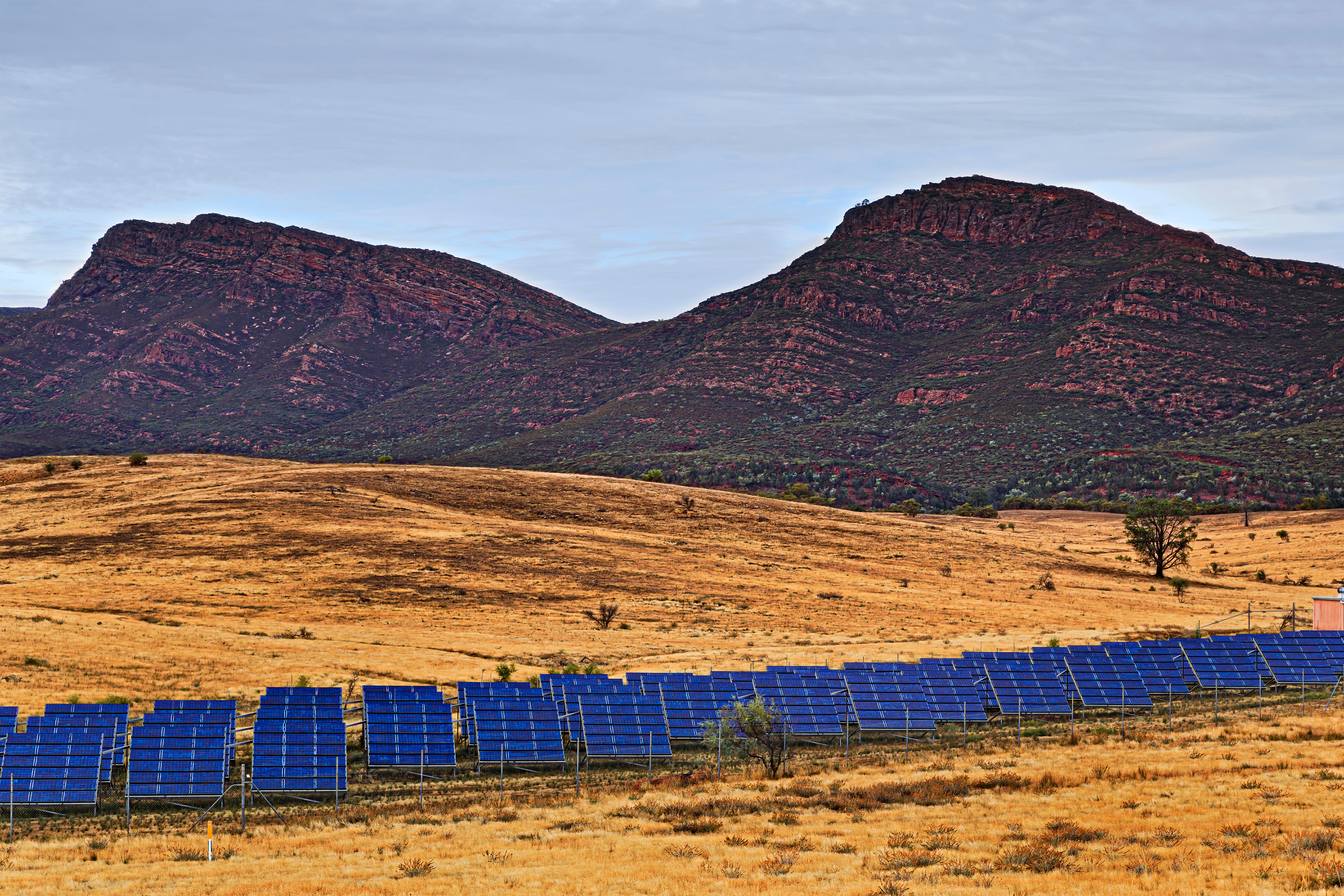Why are state governments curtailing rooftop solar? 