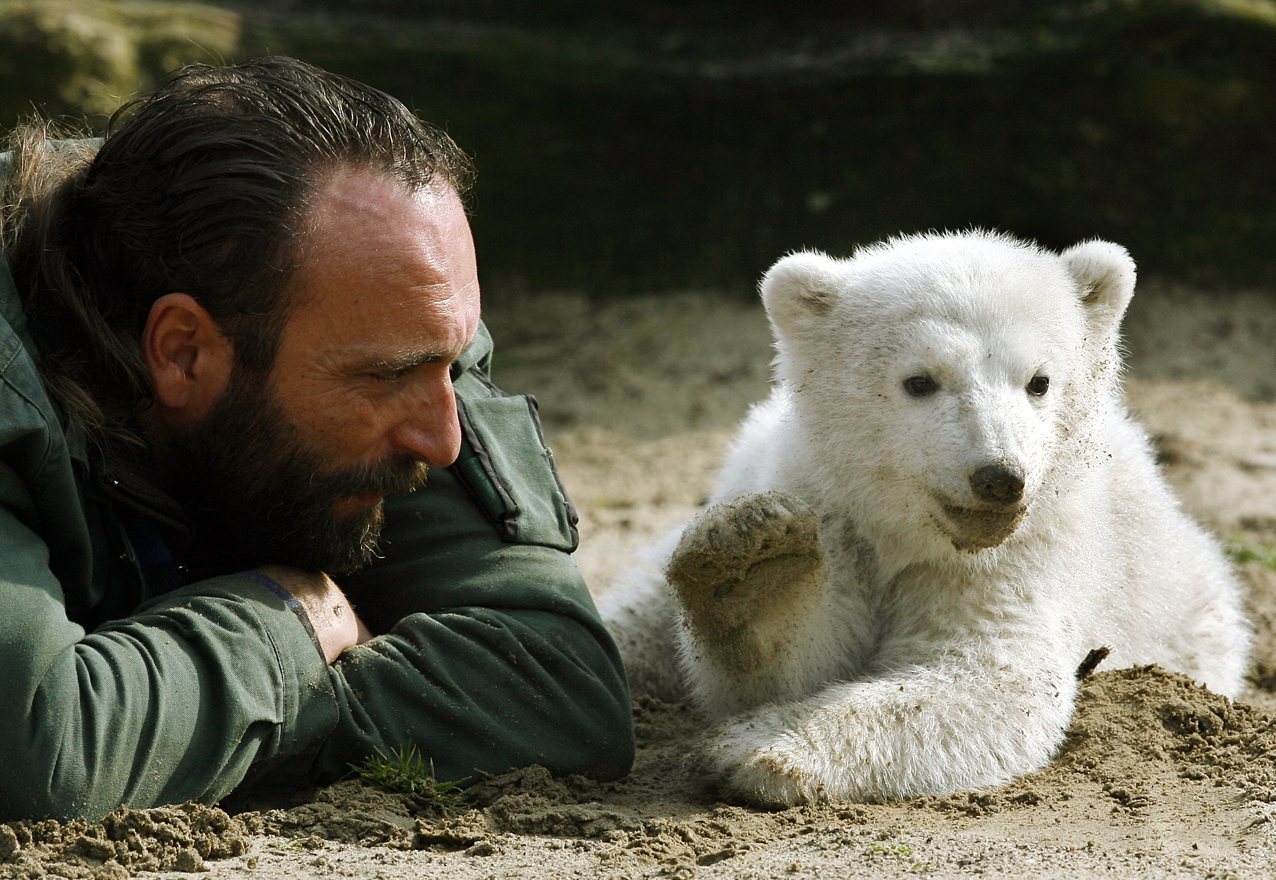 How Knut’s disease is leading to medical breakthroughs