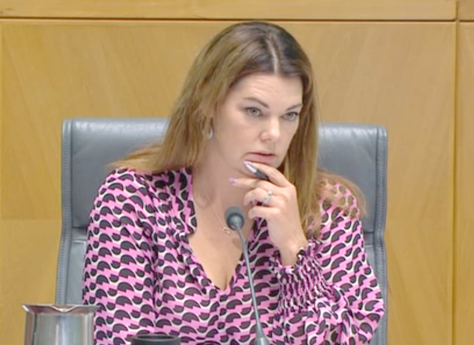 Senator Sarah Hanson-Young at the committee hearing.