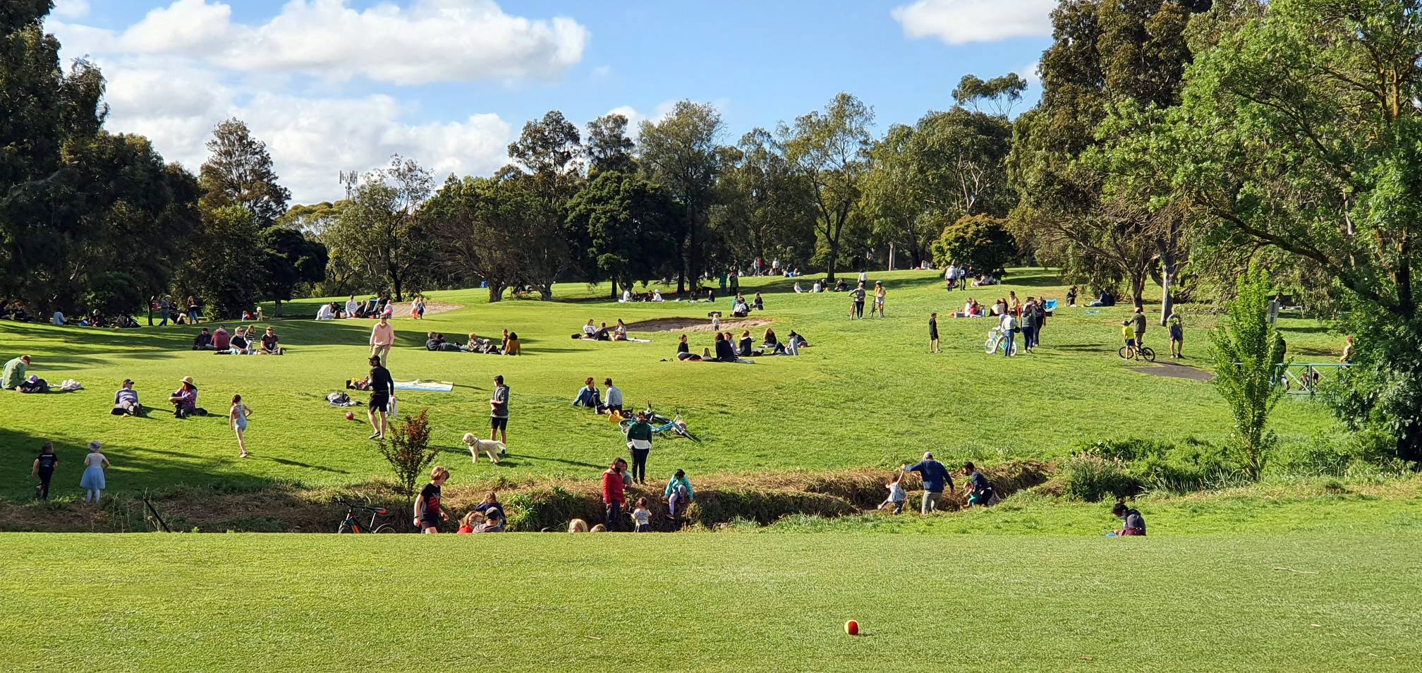 The case for handing golf courses back to the public