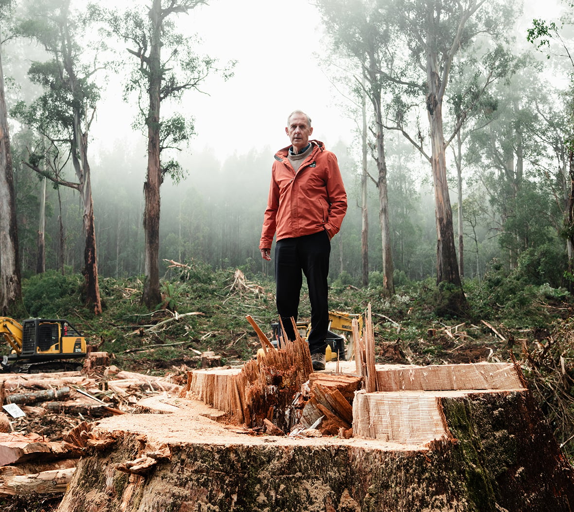Bob brown stands on top of a chopped tree trunk. A forest surrounds him.