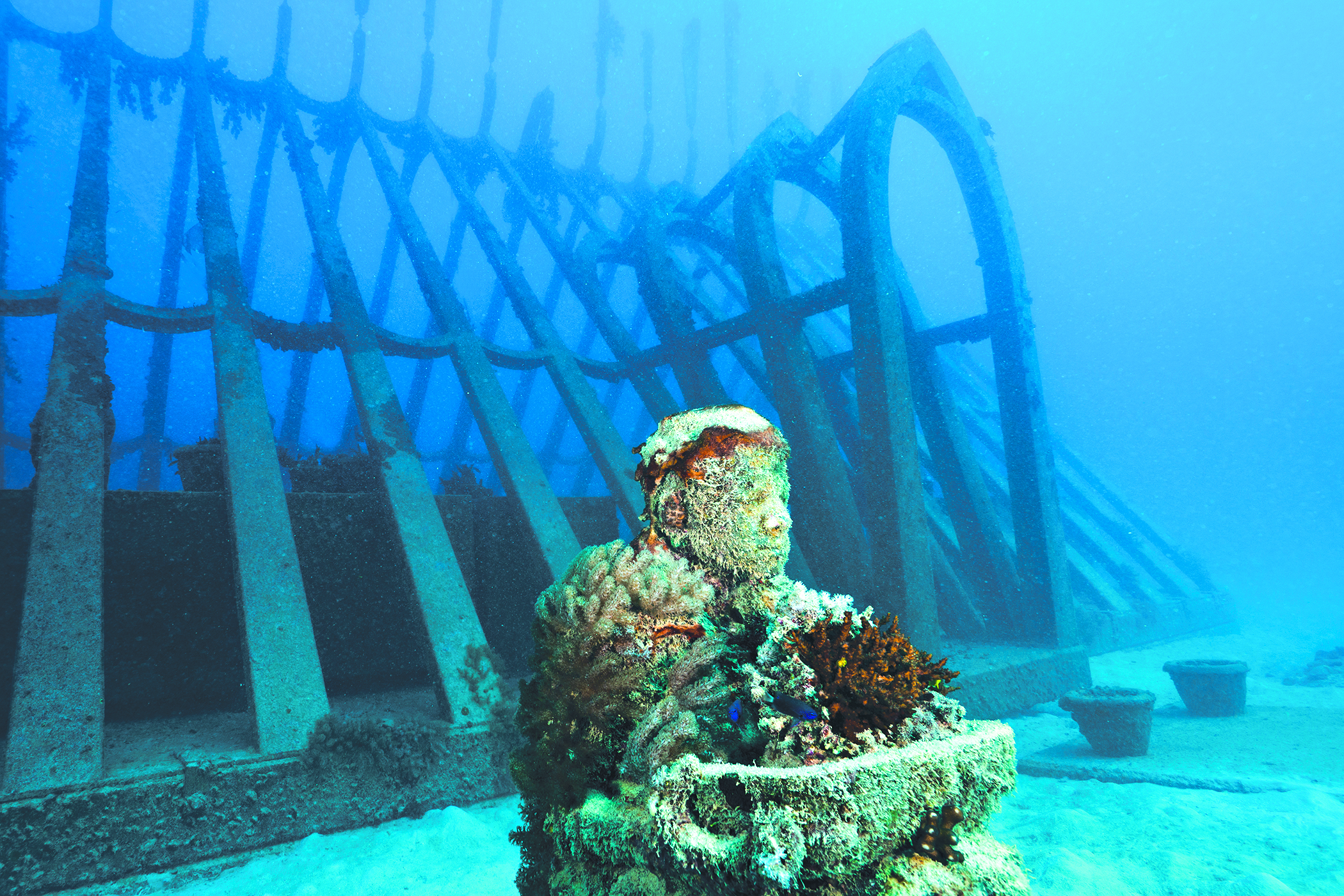 A sculpture on the ocean floor.