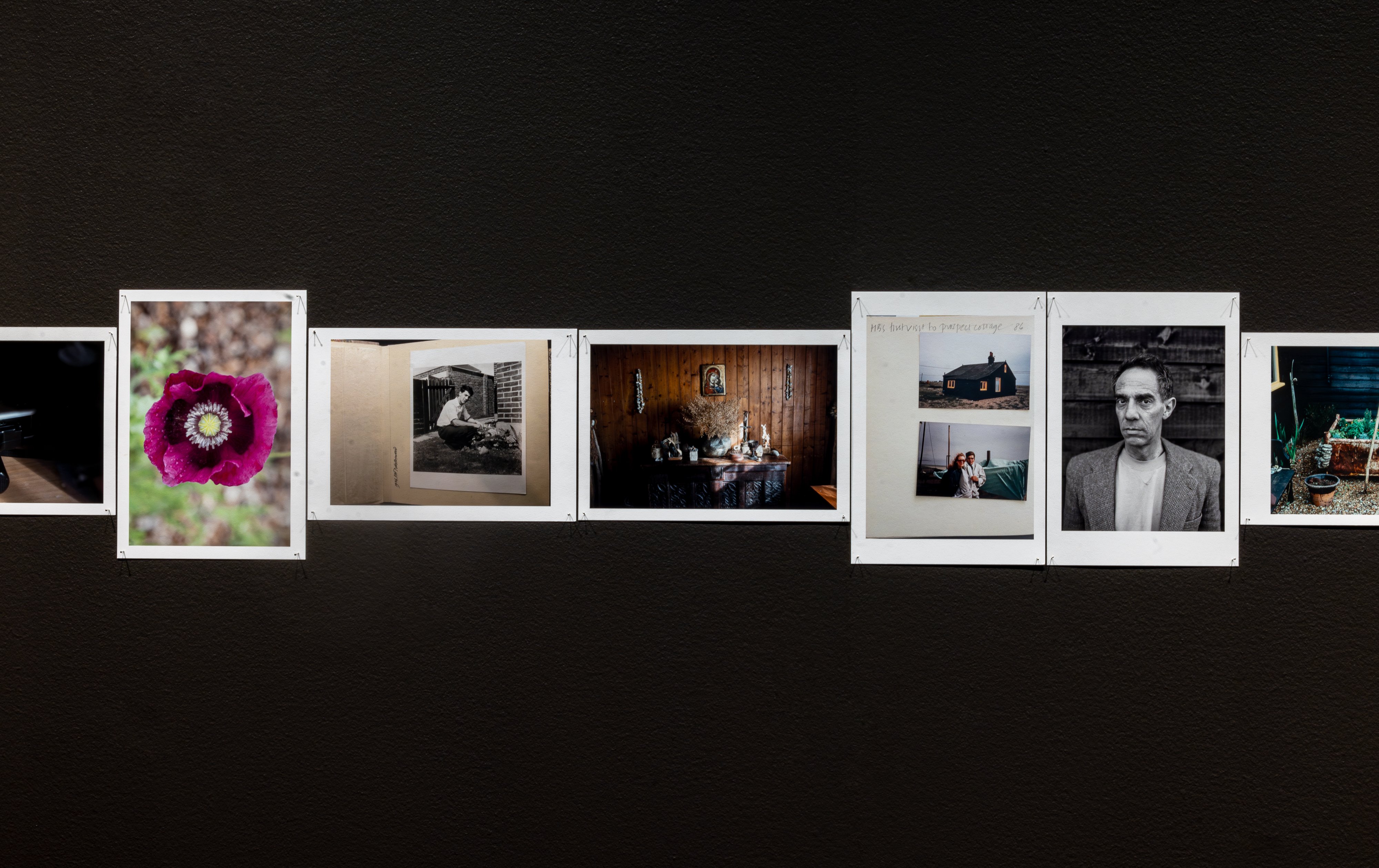 <em>Derek Jarman: Delphinium Days</em>