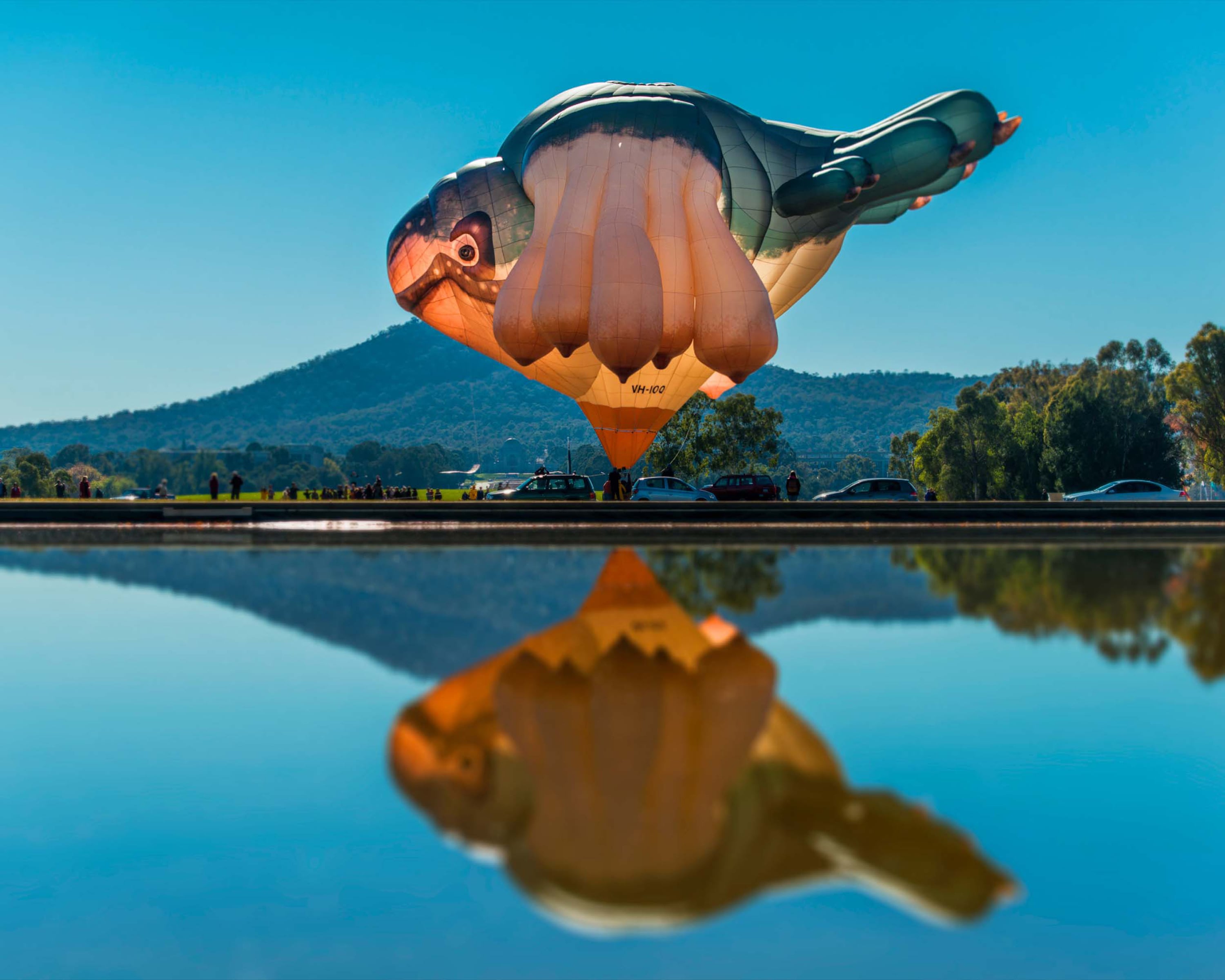 Skywhalepapa joins Skywhale