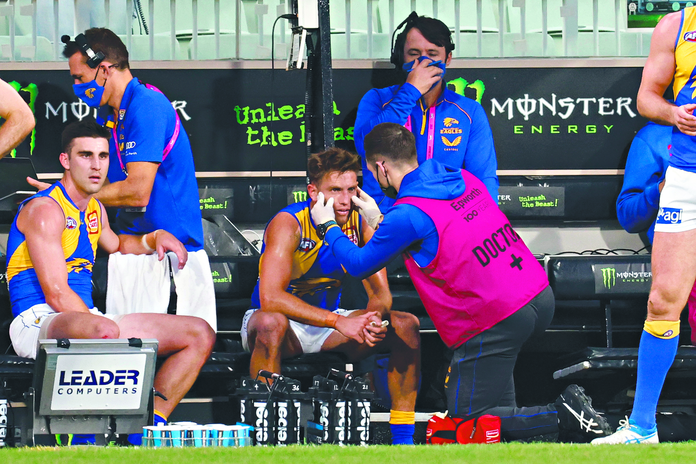 Plagiarism and the AFL's concussion adviser