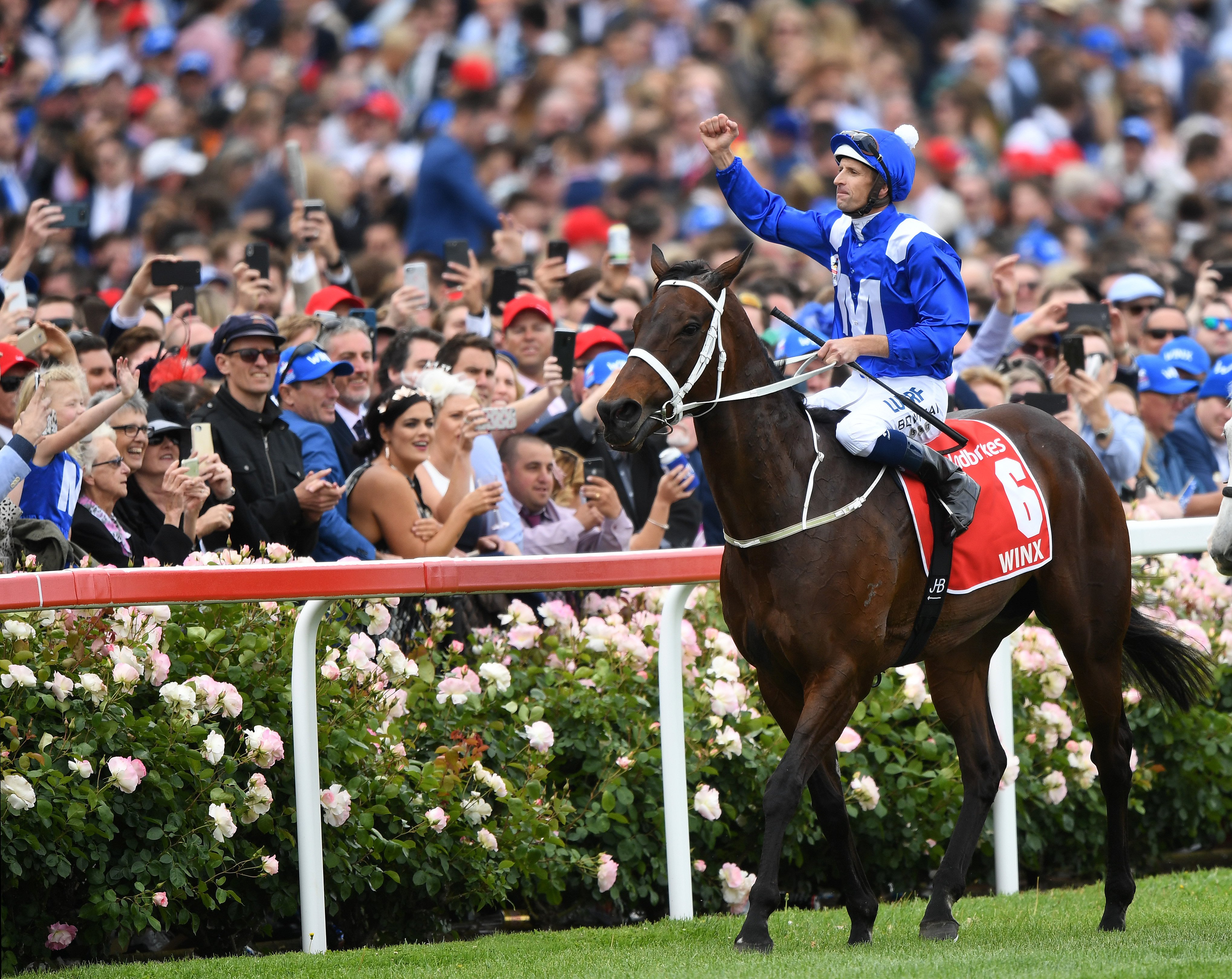 The Winx effect