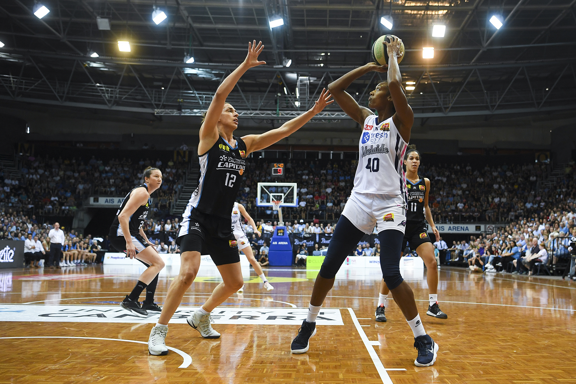 WNBL put through the hoops
