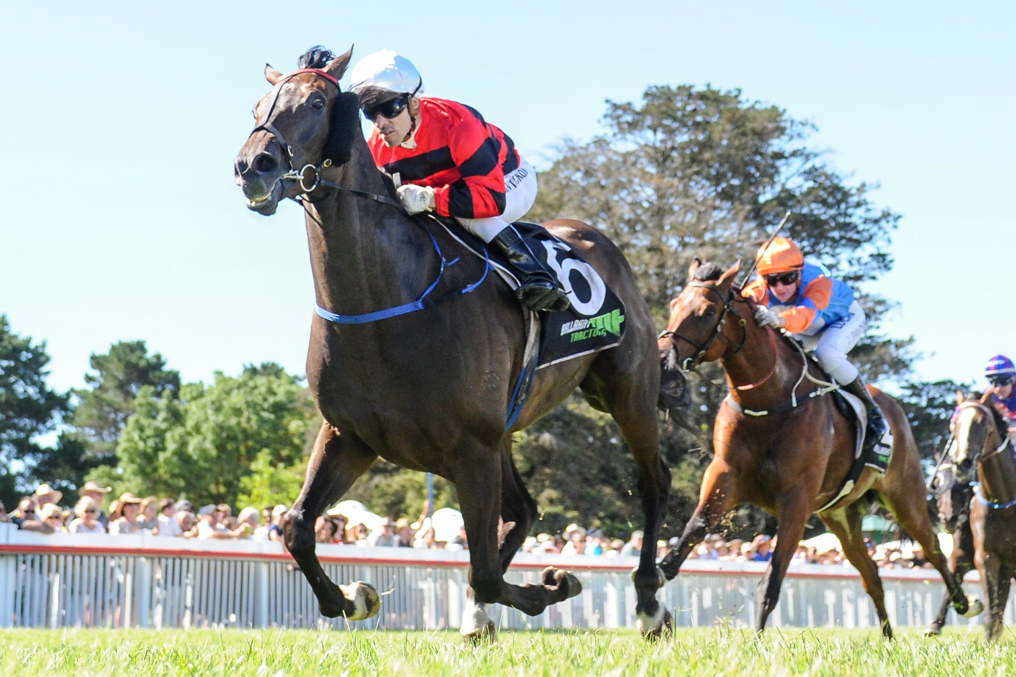 Stan Tsaikos’s knack in the saddle