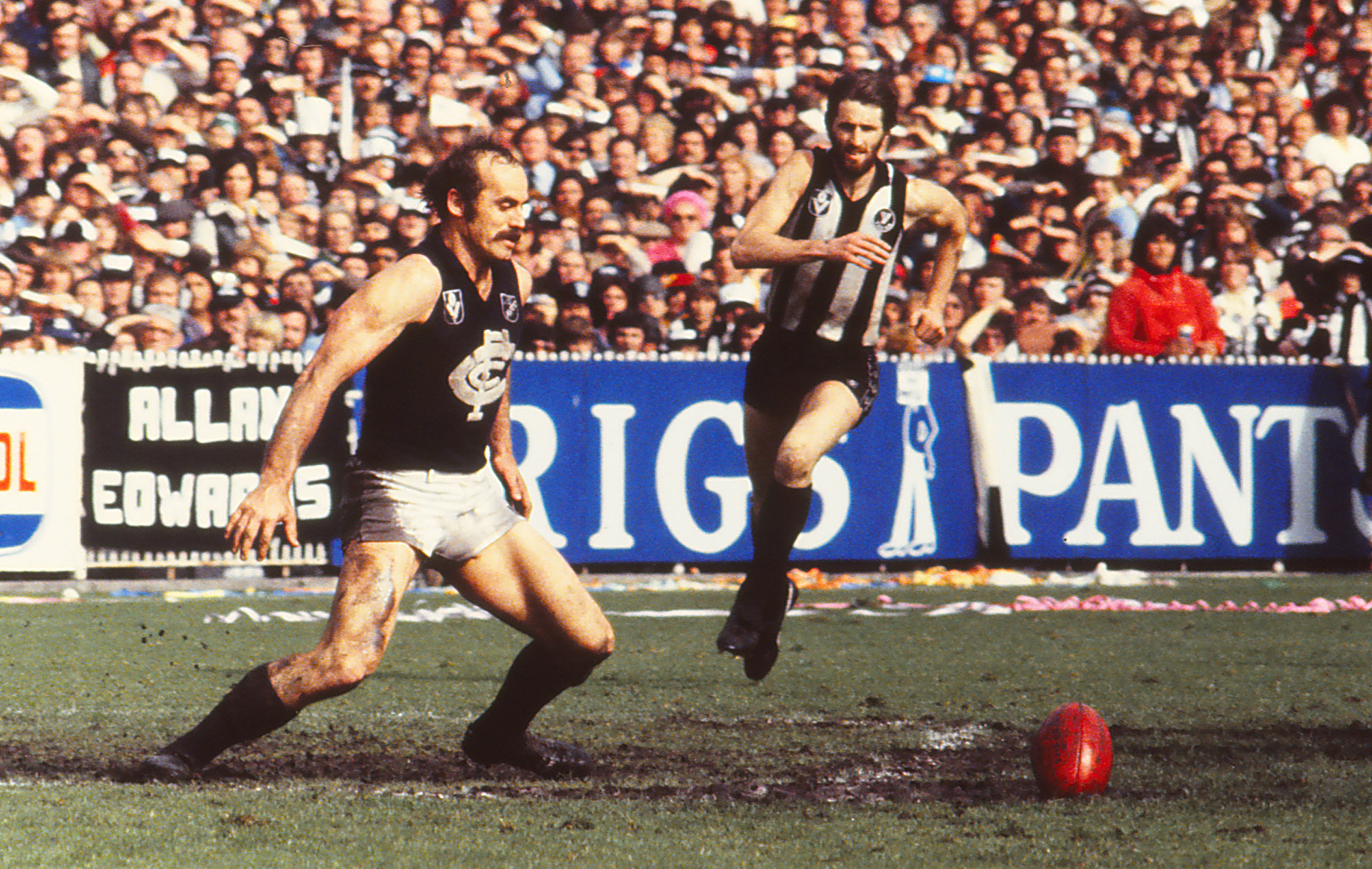 Life as a diehard Carlton fan