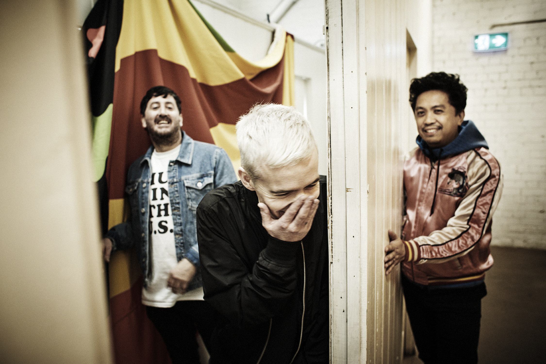 The Avalanches’ ‘Wildflower’