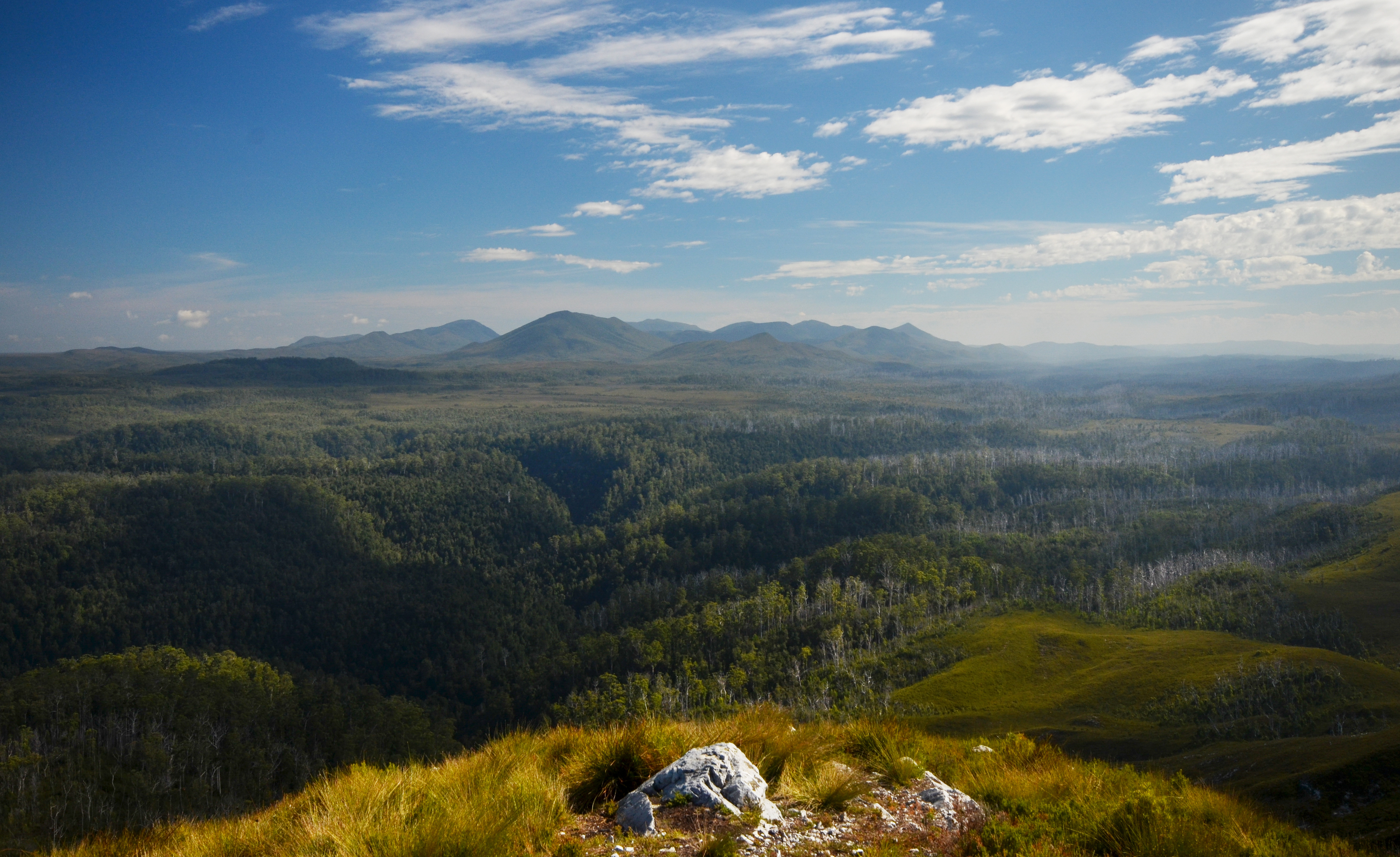 Tarkine environmental tourism thwarted
