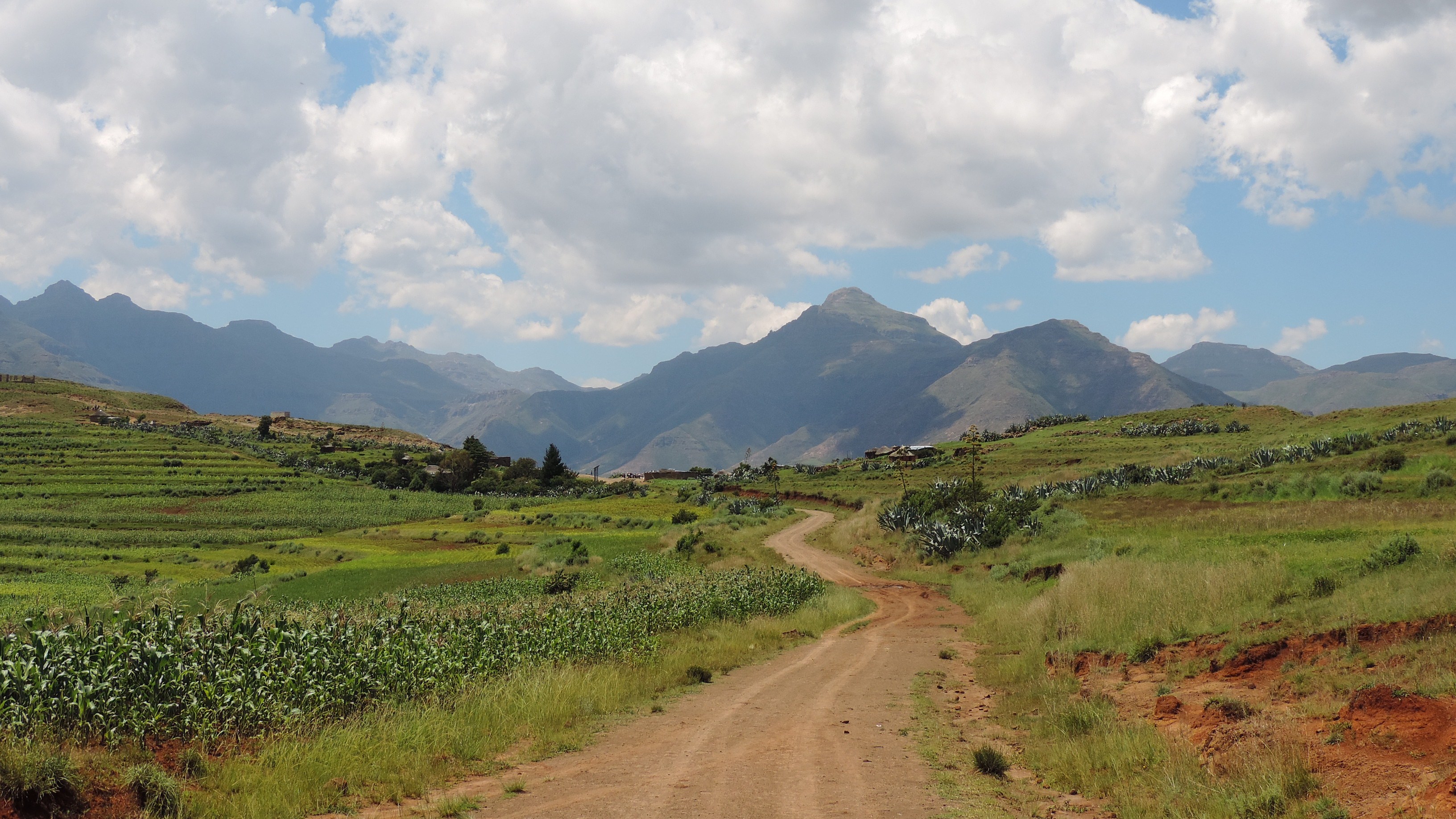Cycle of life in southern Africa
