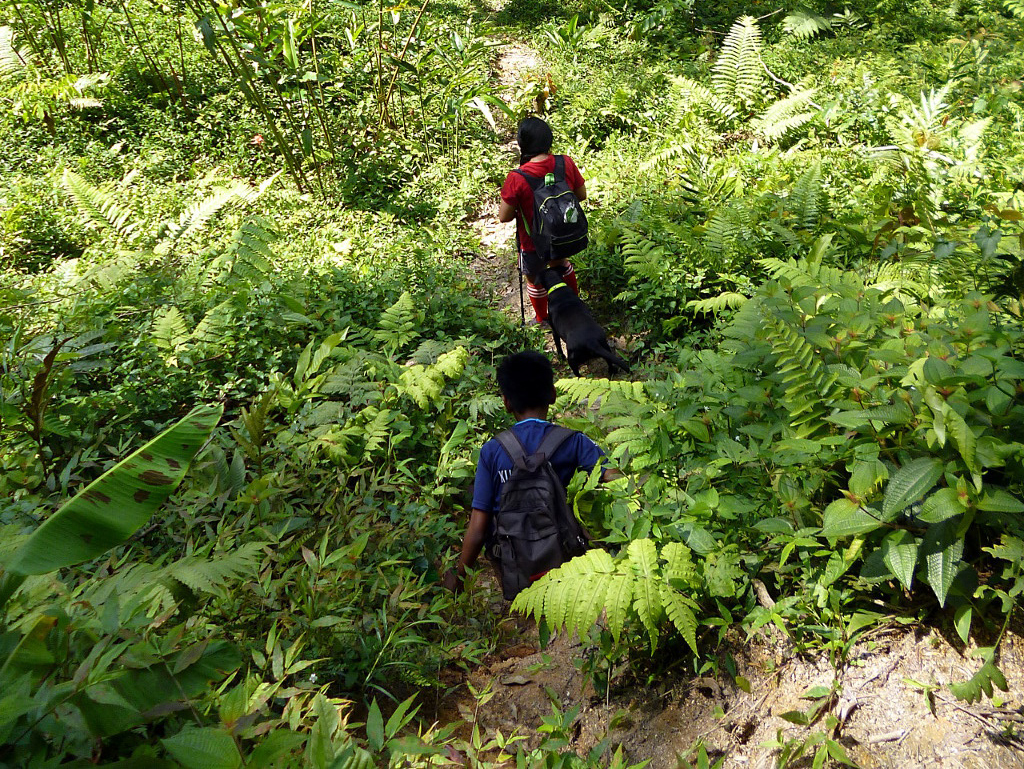  A run through the jungle with Kuala Lumpur’s ‘hashers’