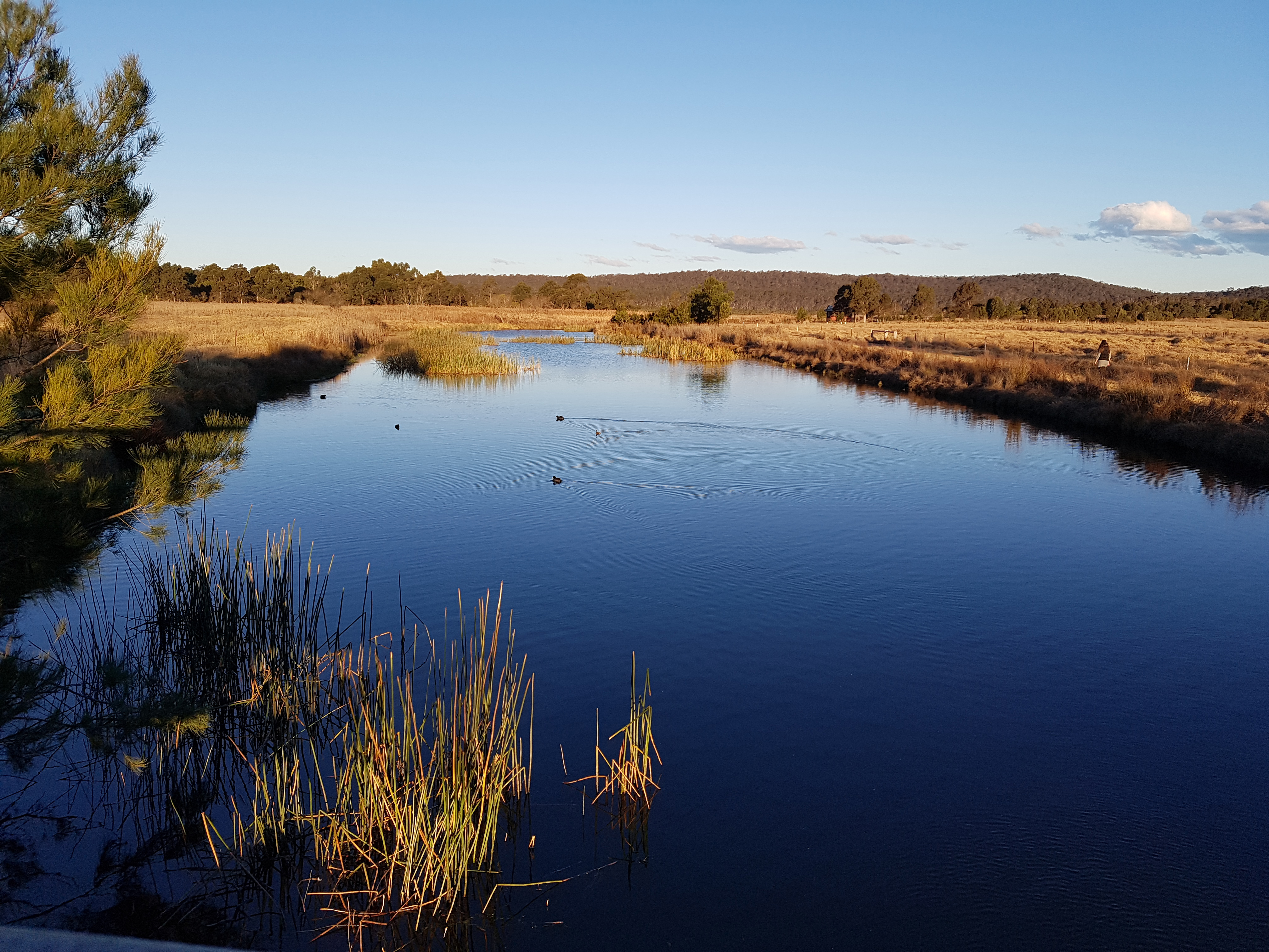 Panboola wetlands, NSW