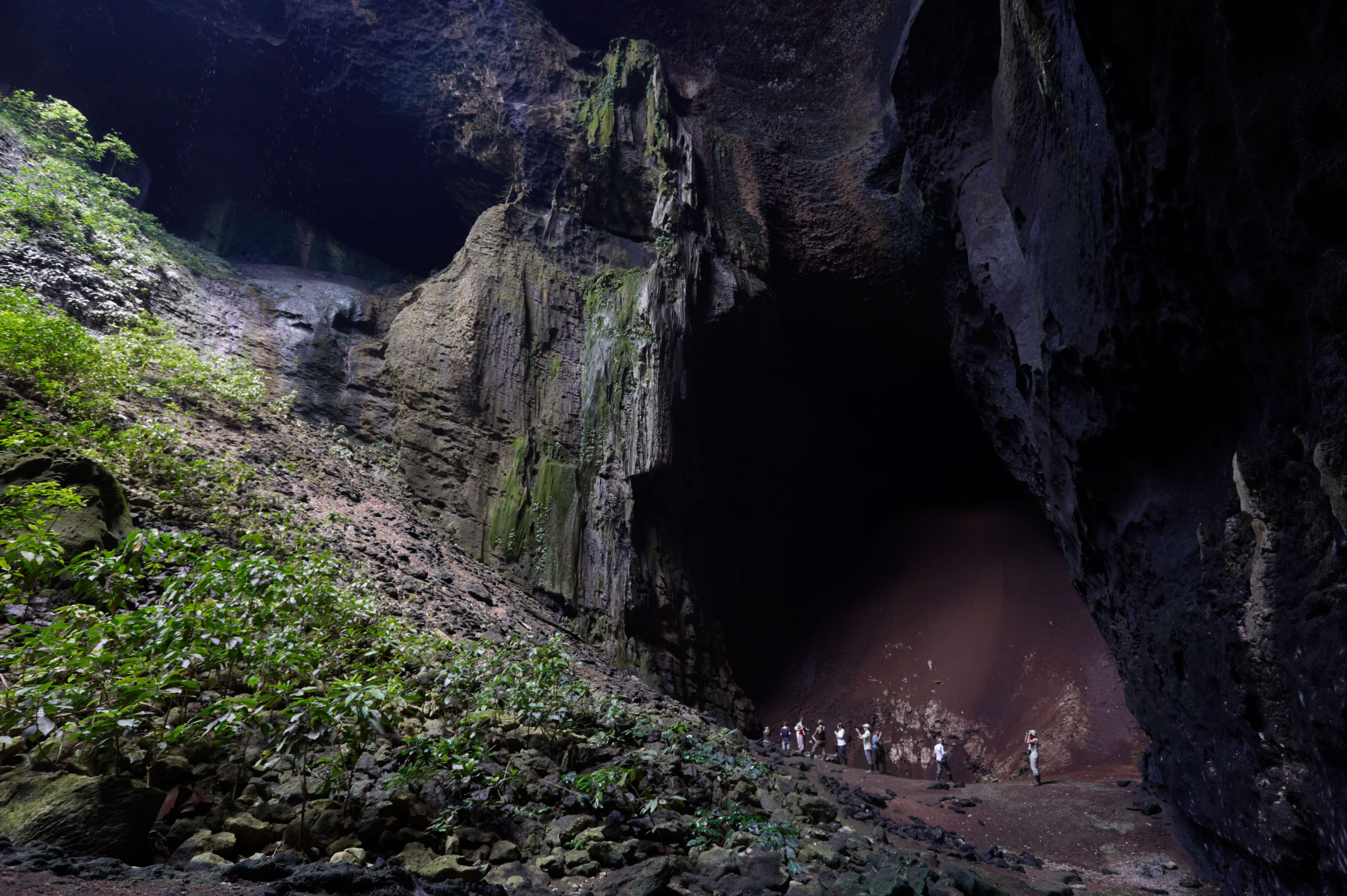 Borneo’s Gomantong Caves