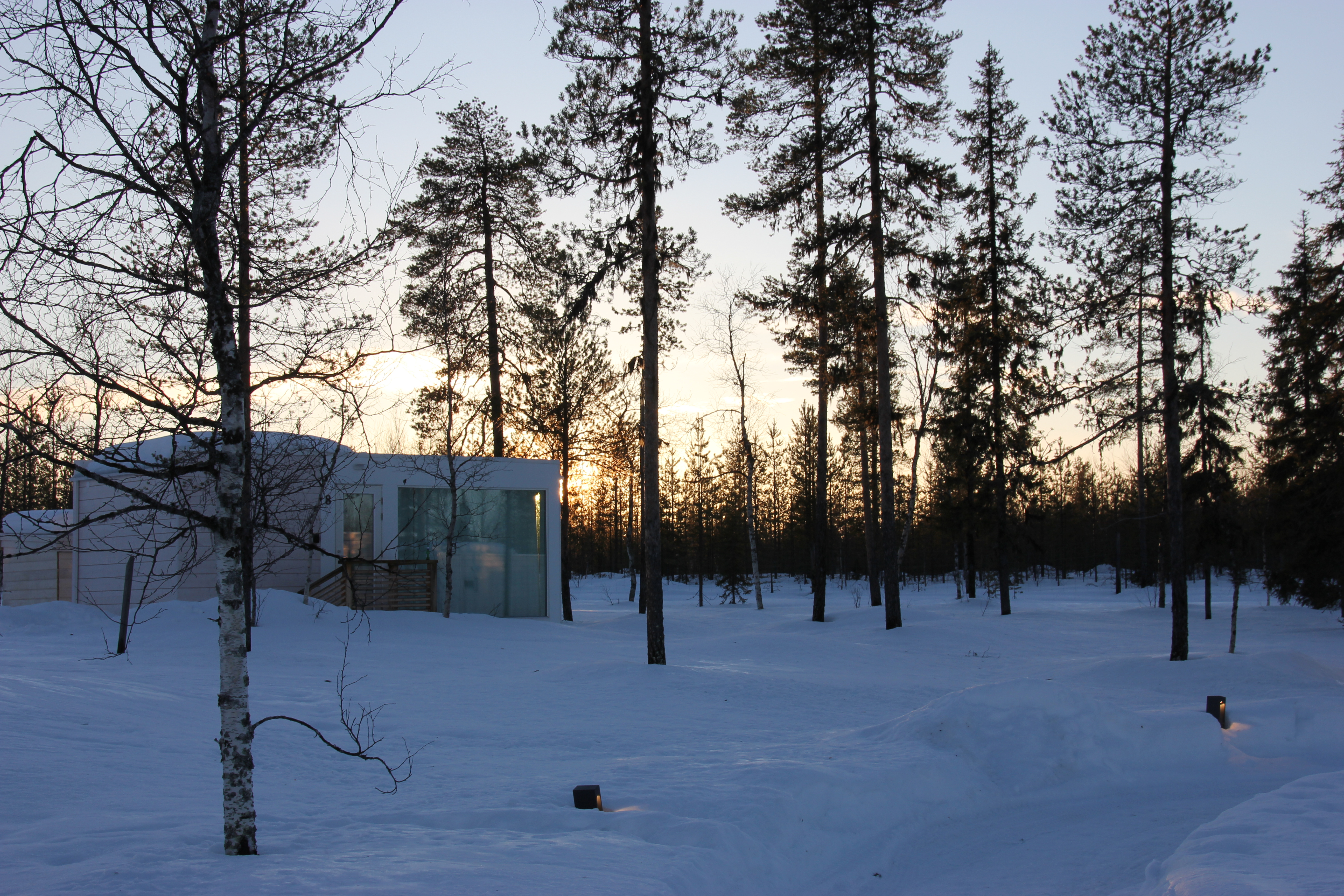 In search of the northern lights