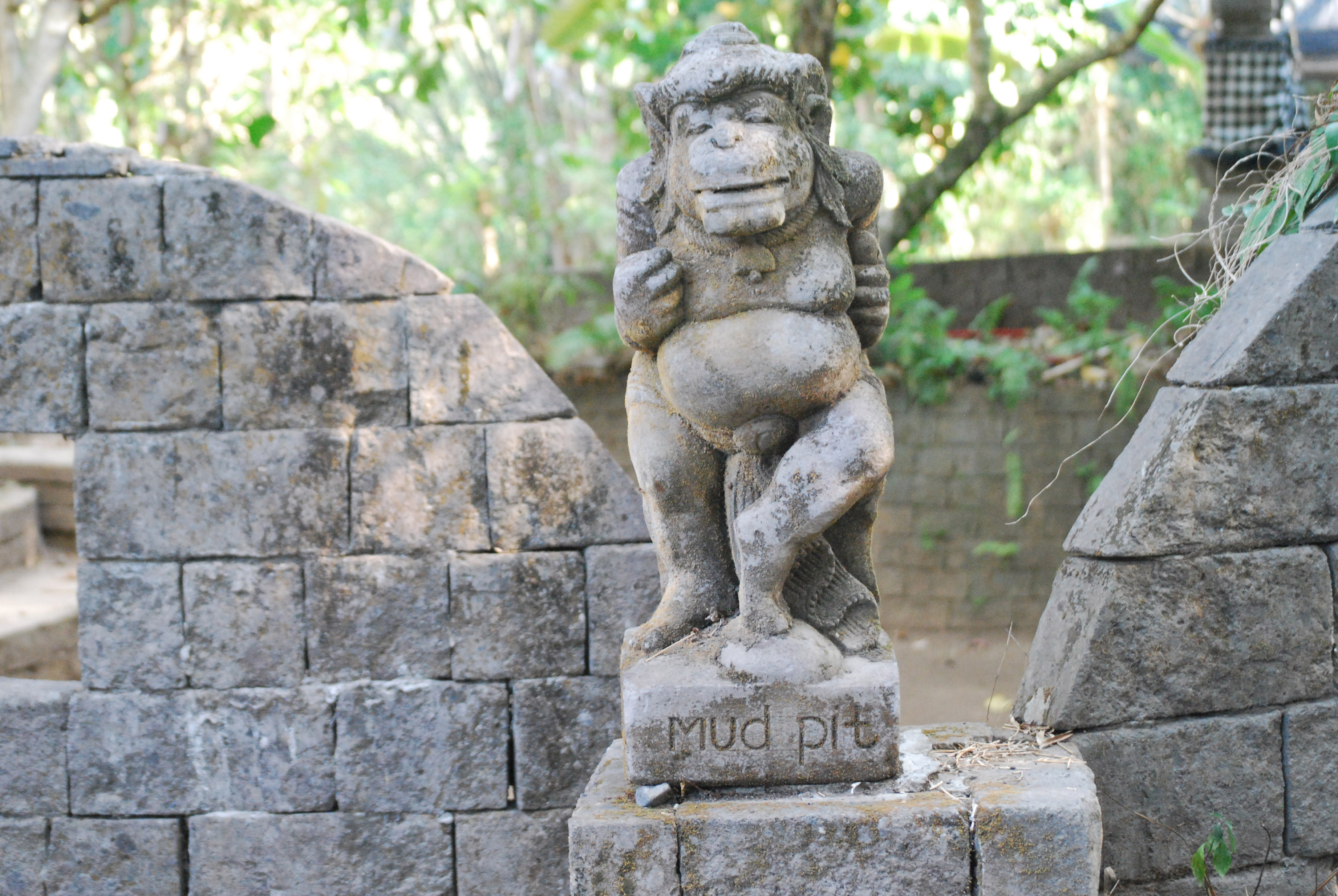 Wellness in Ubud, Bali