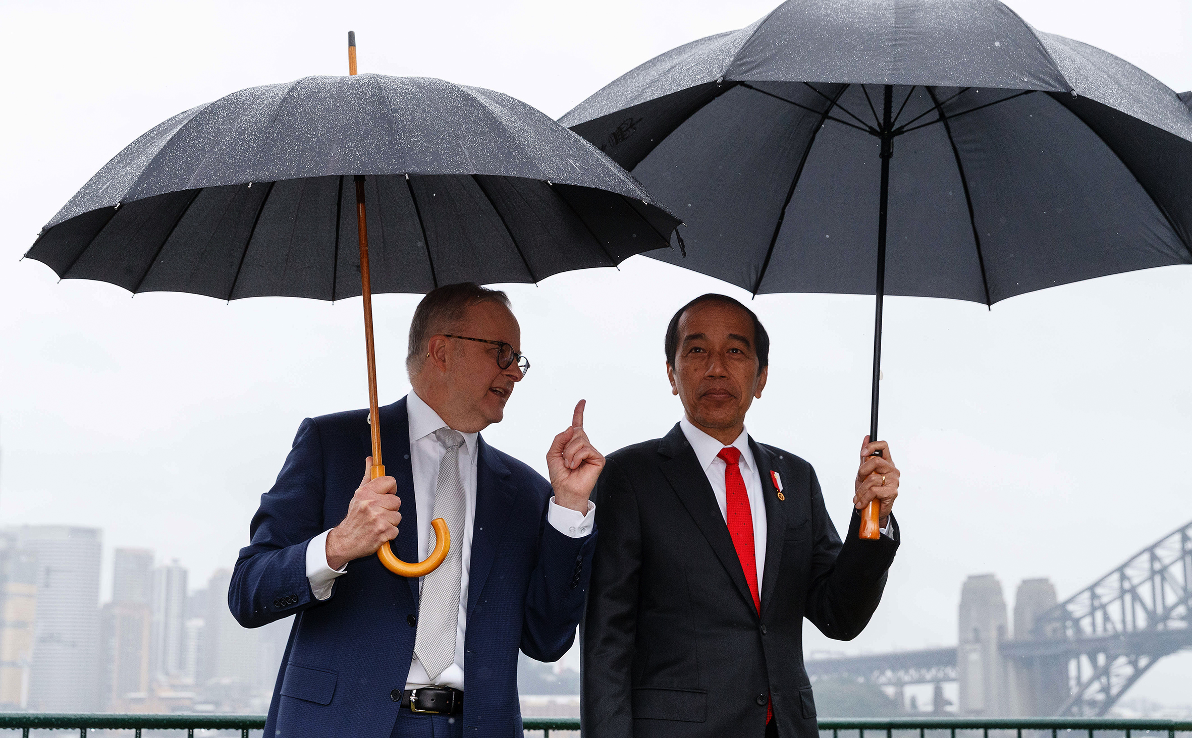 Two middle-aged men wearing suits stand in the rain with umbrellas. Sydney harbour is in the background.