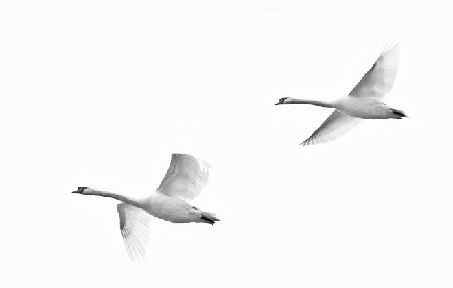 Two poems
