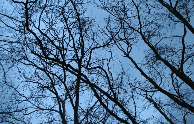 Five poems