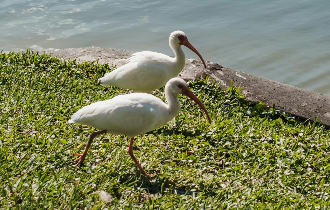 Three poems