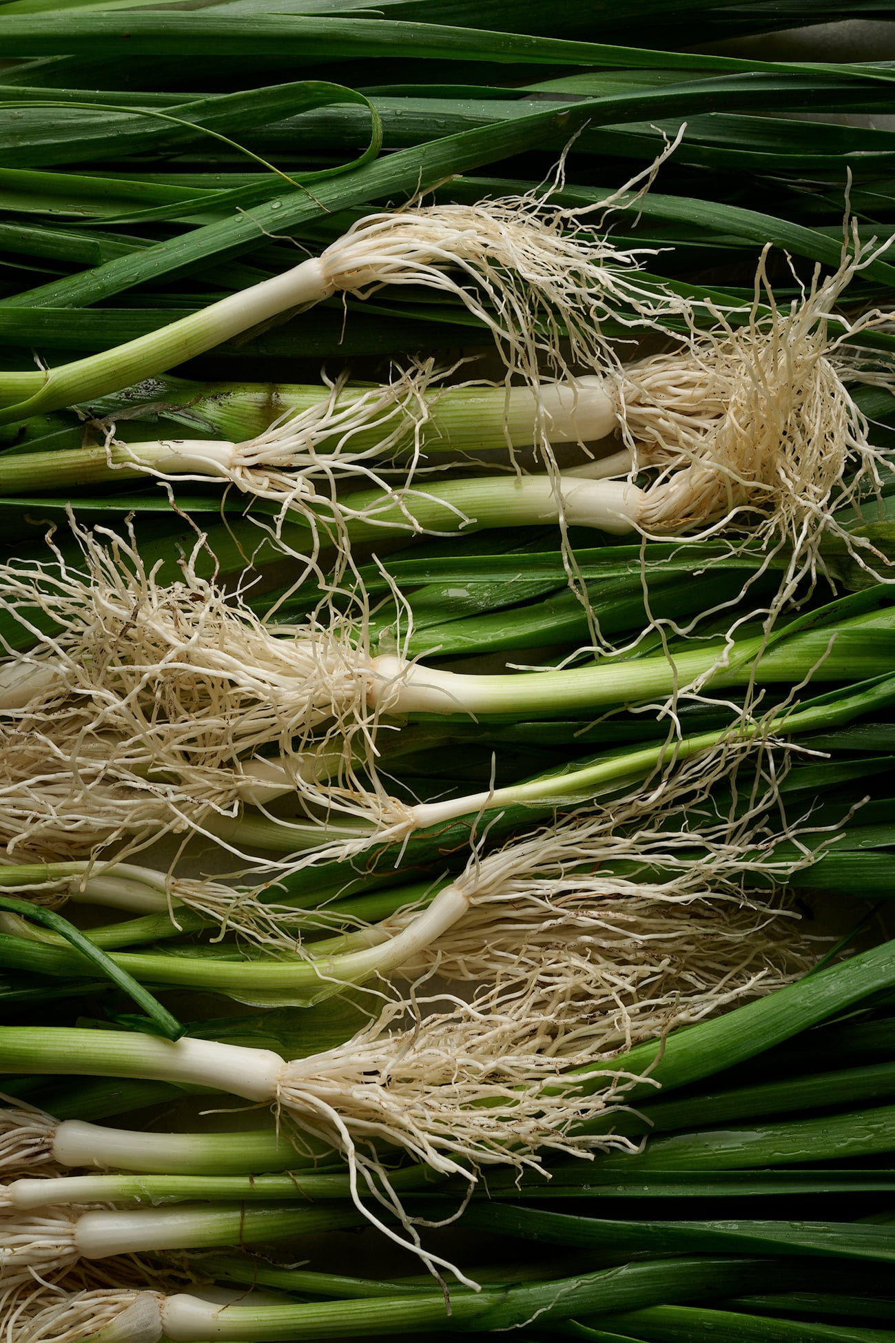 Leeks vinaigrette