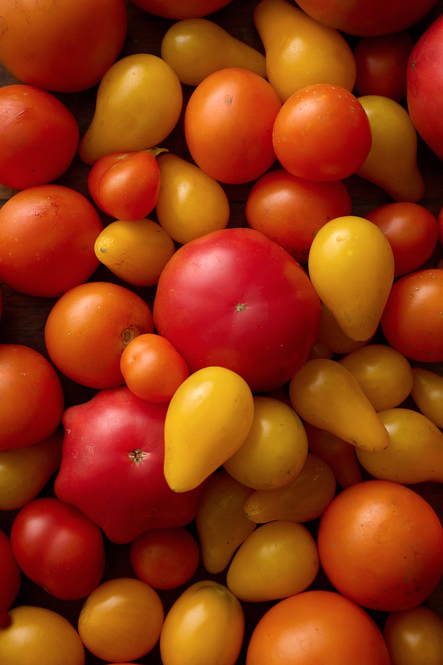 Tomato tarte tatin