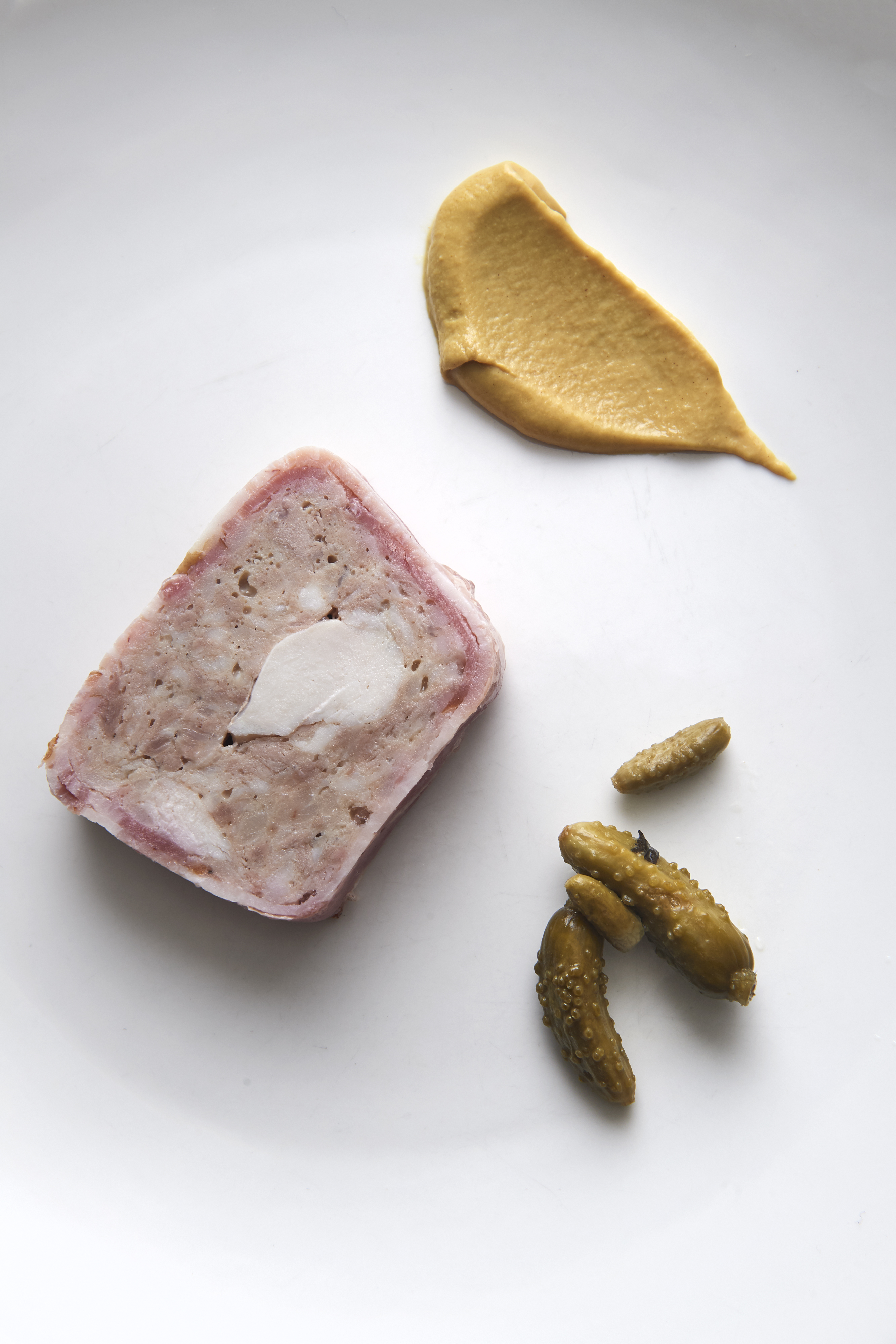 Terrine