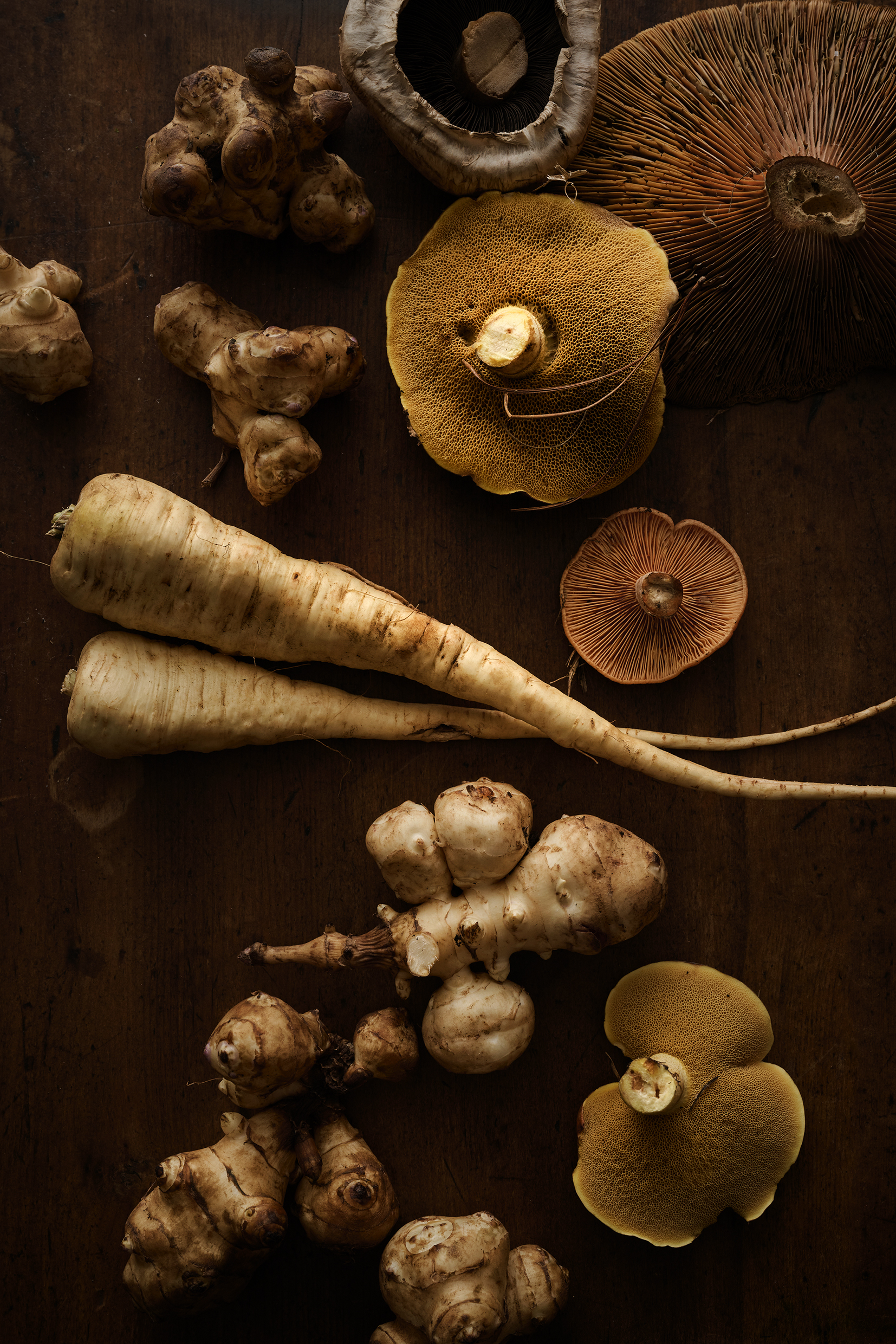 Photography by Earl Carter