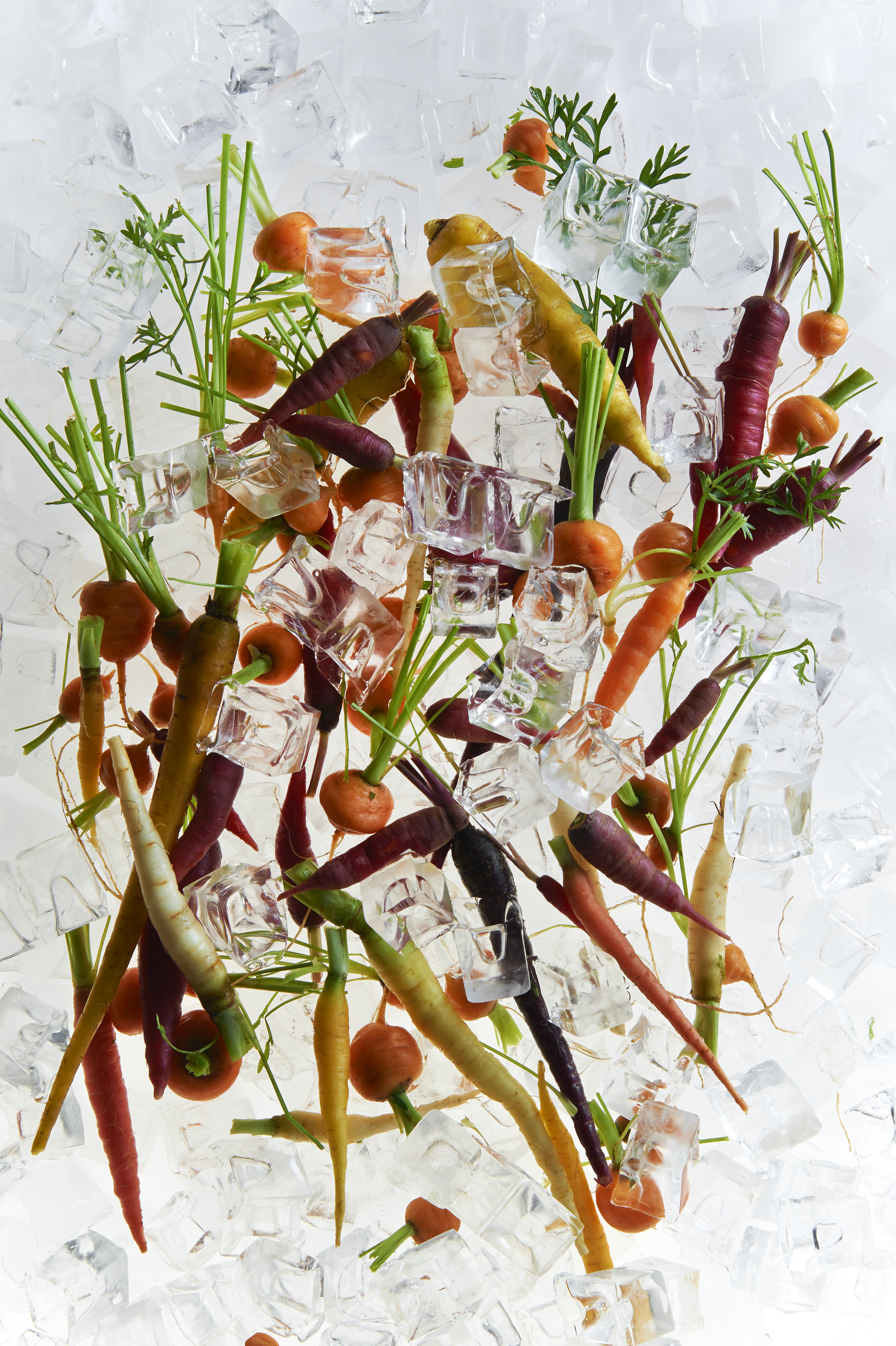 Carrot, yoghurt and honey salad
