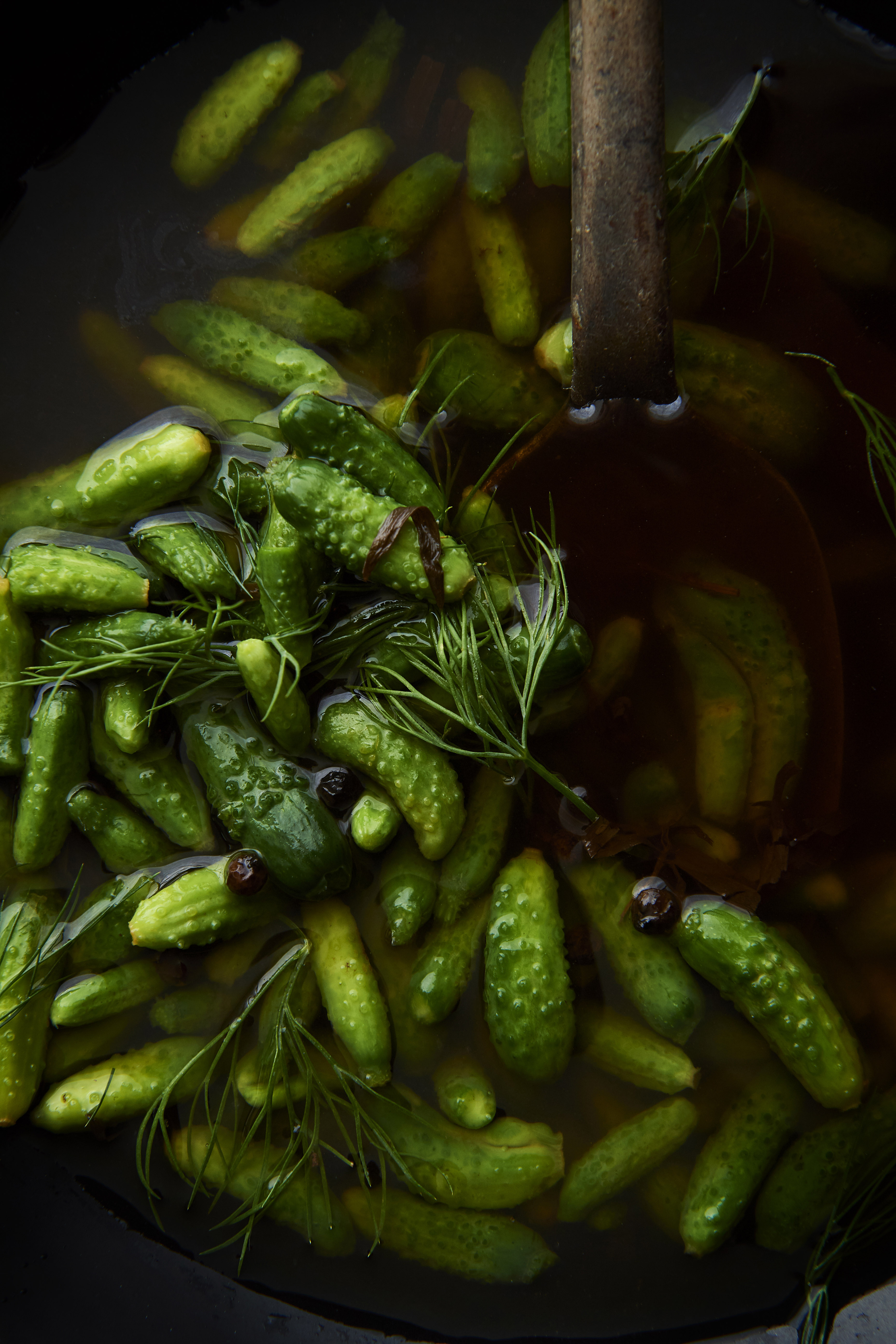 Cornichons and quick red onion pickle