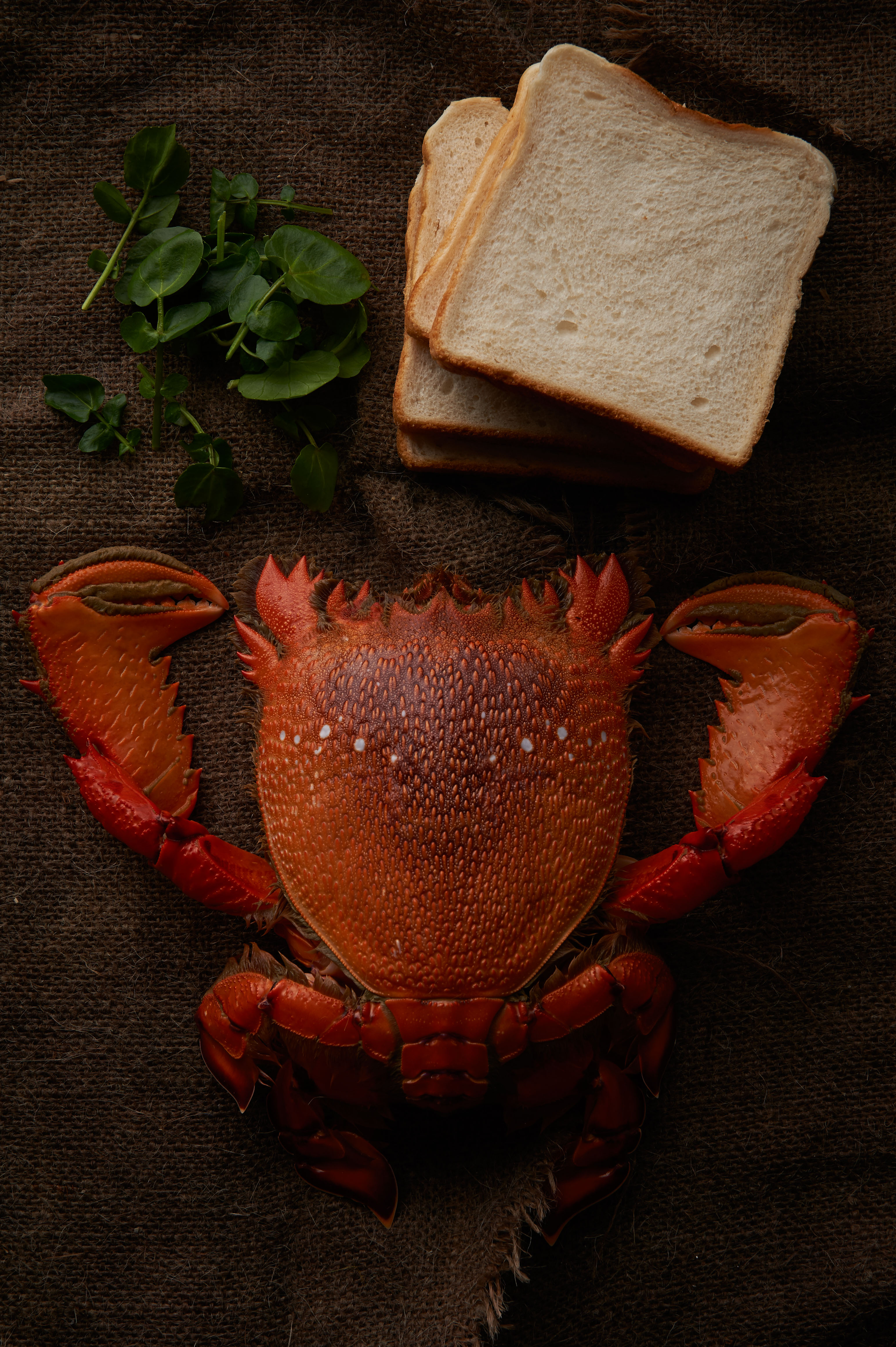 Devilled crab and crab sandwiches